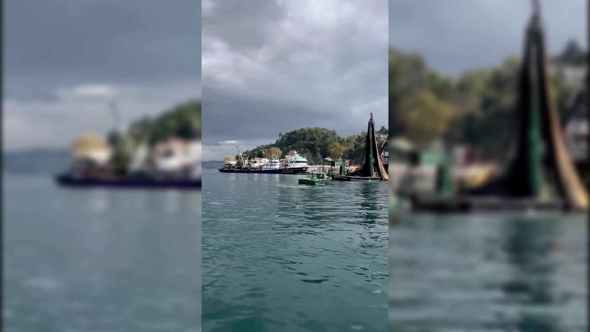 Boğaz girişindeki gırgır görüntüsü tepki çekti... İl Tarım Müdürlüğü: Denetim aralıksız sürüyor