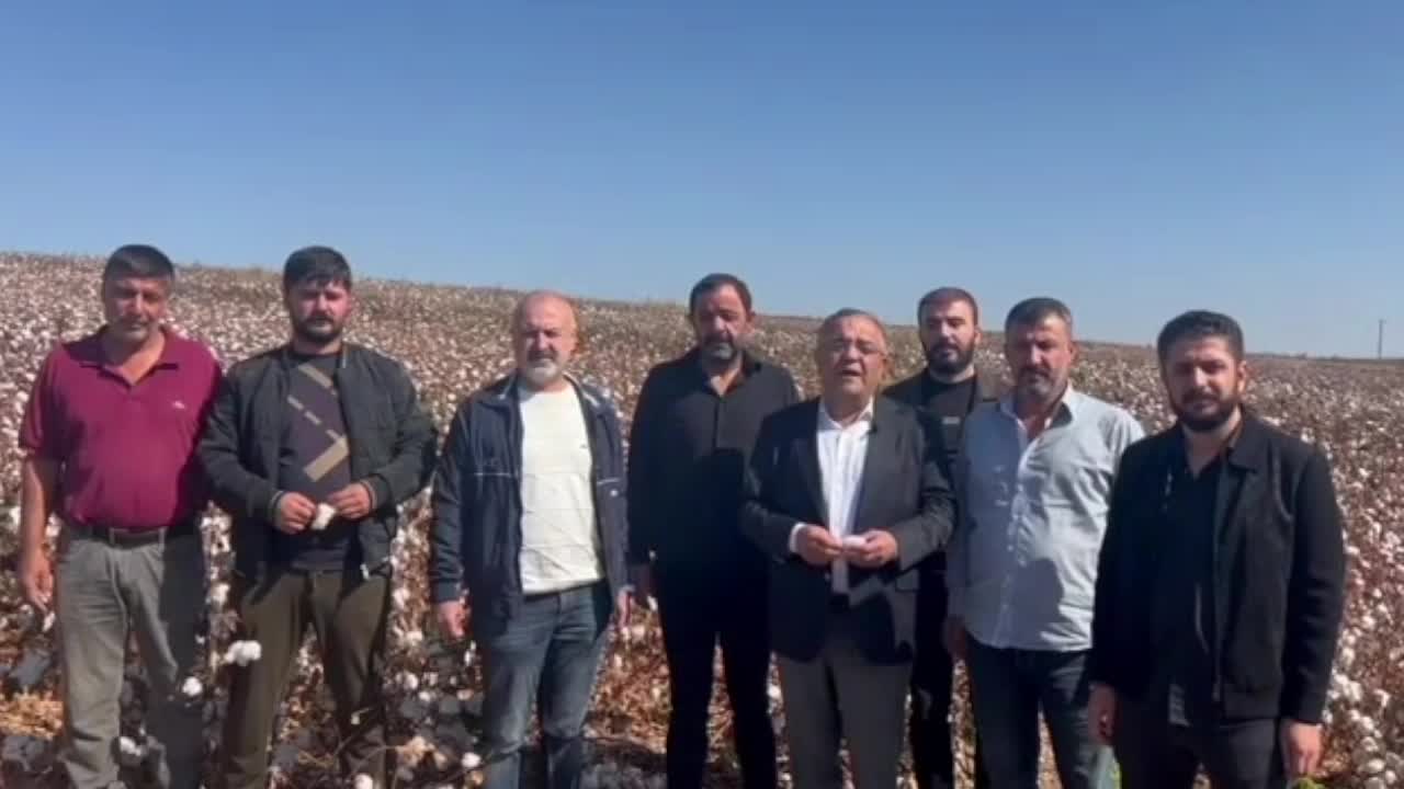 CHP Diyarbakır Milletvekili Tanrıkulu: “Bu yıl da destek verilmezse bölgede pamuk üretimi neredeyse sıfıra düşecek”