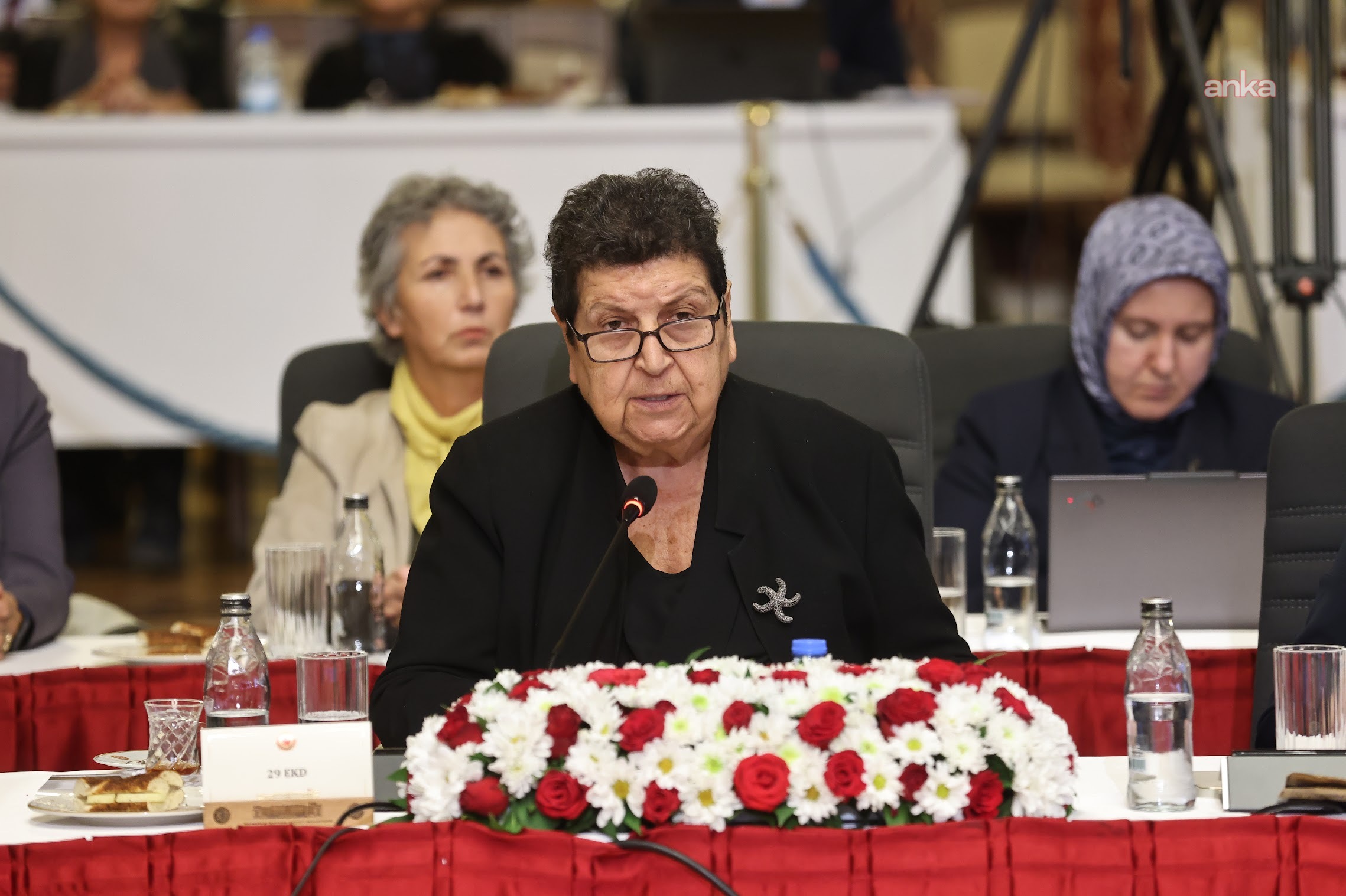 Milli Dayanışma Kardeşlik ve Demokrasi Komisyonu... Şenal Sarıhan: İnsanları cezaevine dolduruyorsak buradan barışı inşa etmek mümkün değil