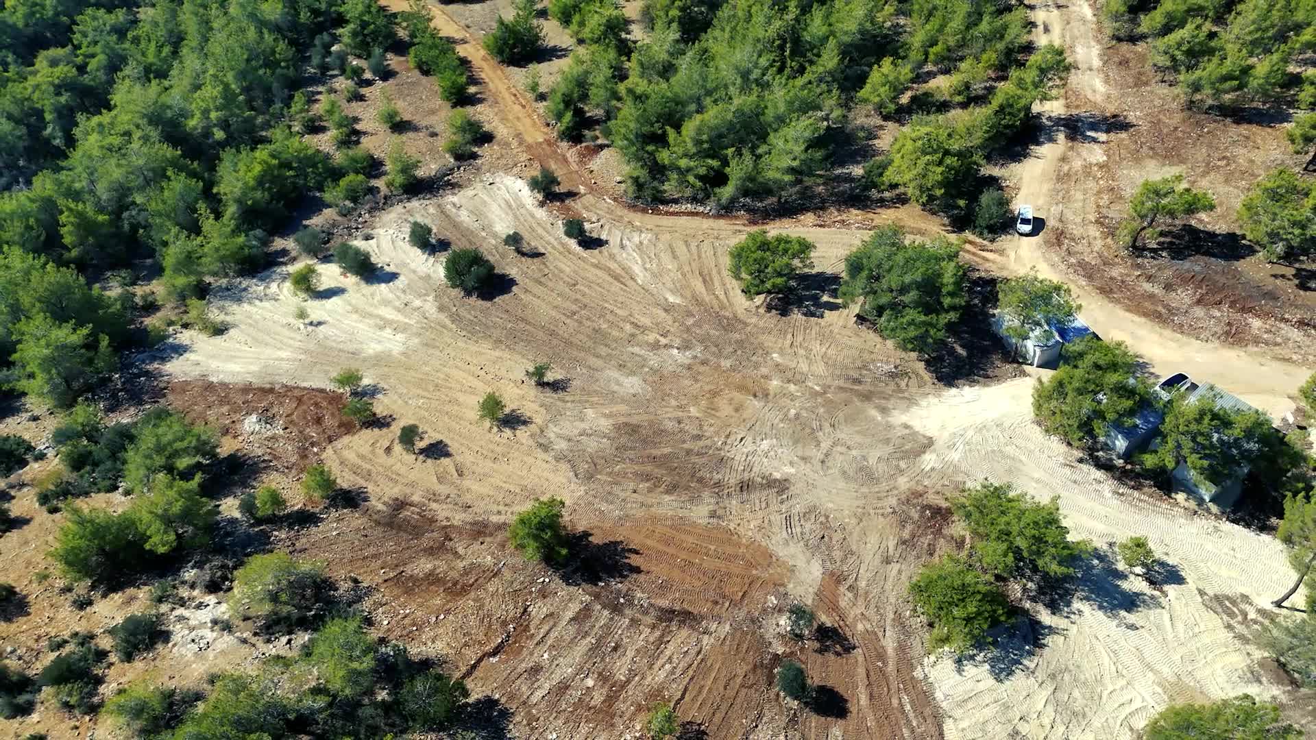Mezitli Belediyesi’nden sokak hayvanları için "Doğal Yaşam Alanı"