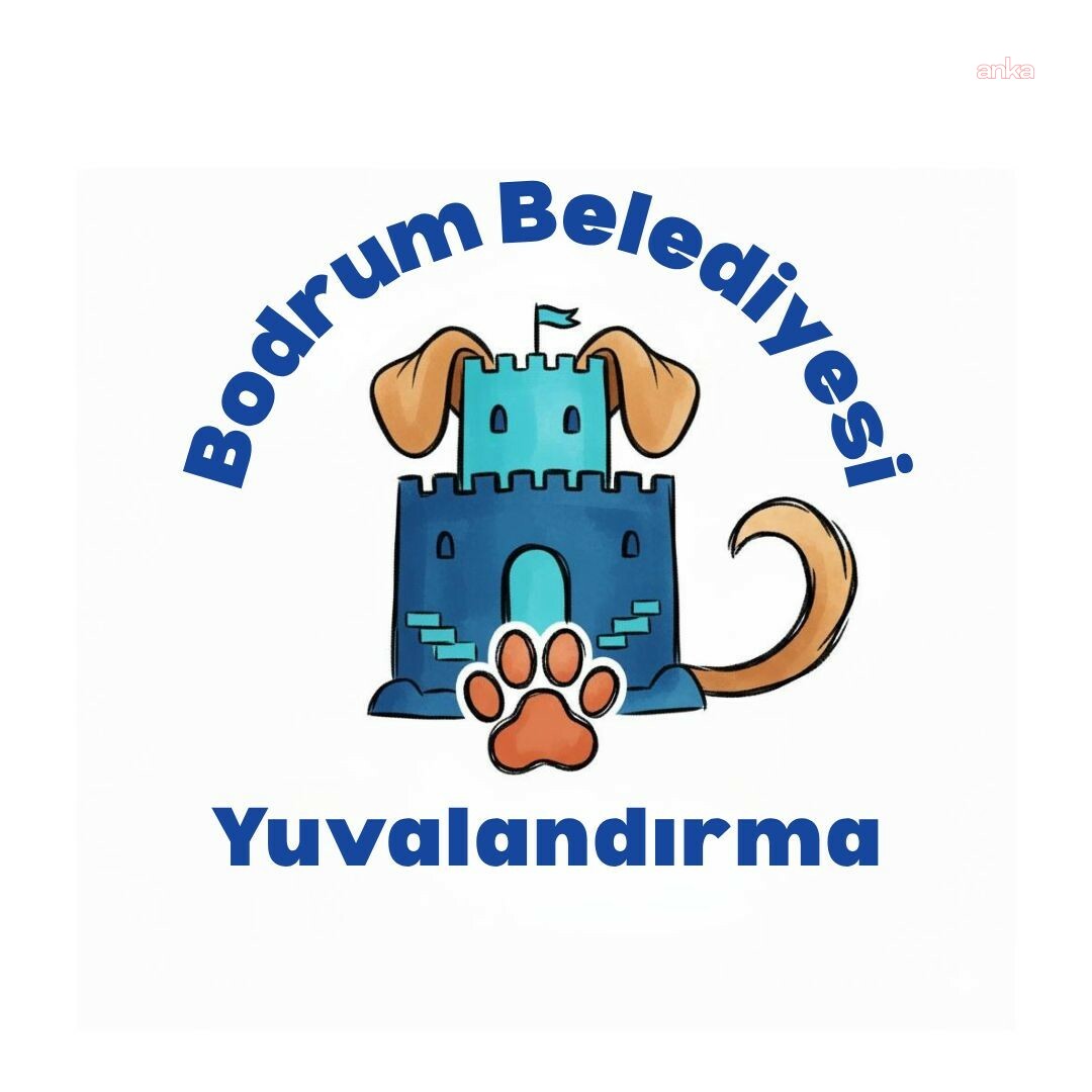 Bodrum Belediyesi'nin yuvalandırma platformu hayata geçti