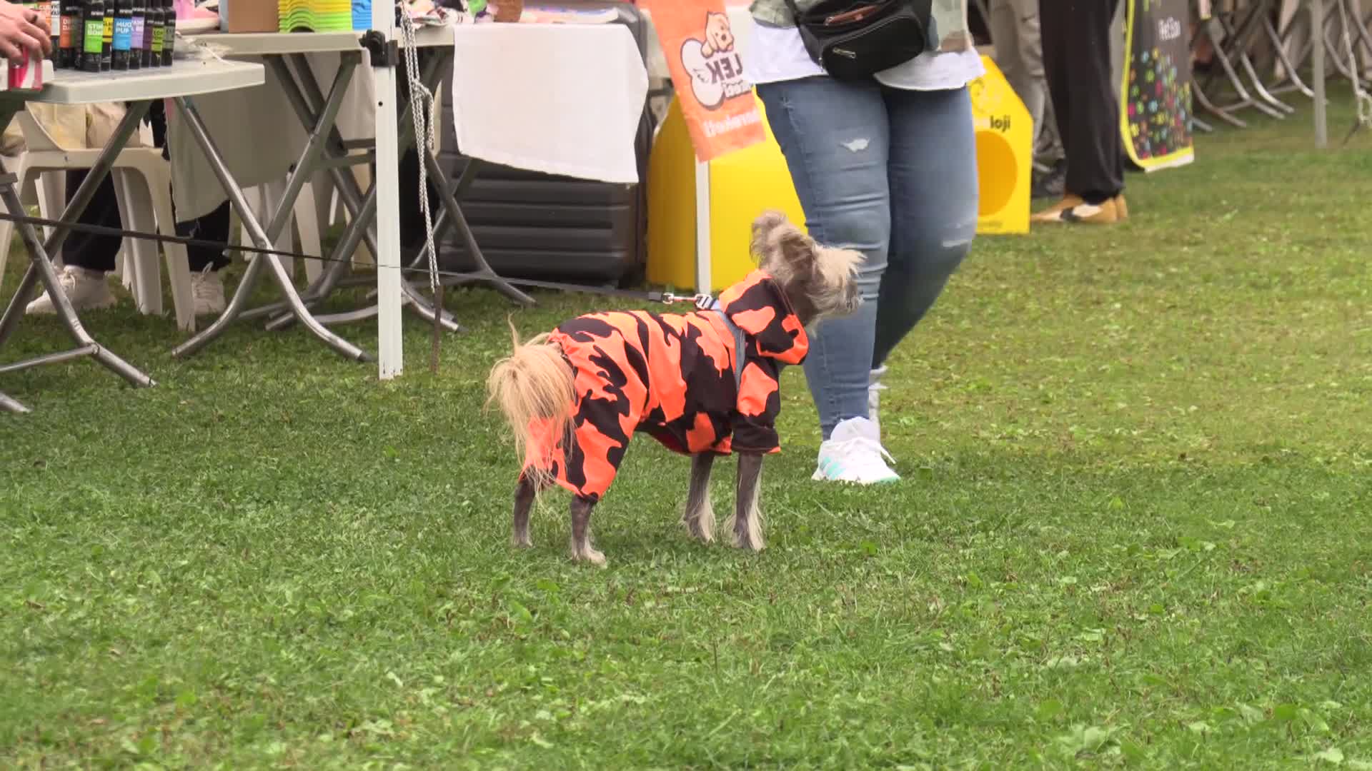 Konak Belediyesi, 6. Patilerin Festivali ile sahiplenmenin önemine dikkati çekti