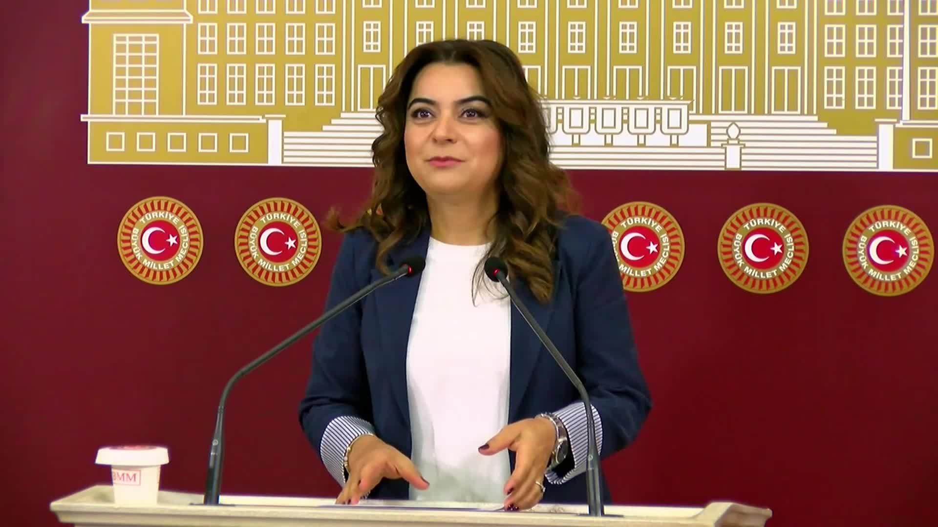 Gülistan Kılıç Koçyiğit, sızdırılan 11. Yargı Paketi'ni desteklemeyeceklerini açıkladı: "Eğer sızan hali gerçekse durum vahim, sızan taslağın resmileşmesini dahi kabul etmiyoruz"