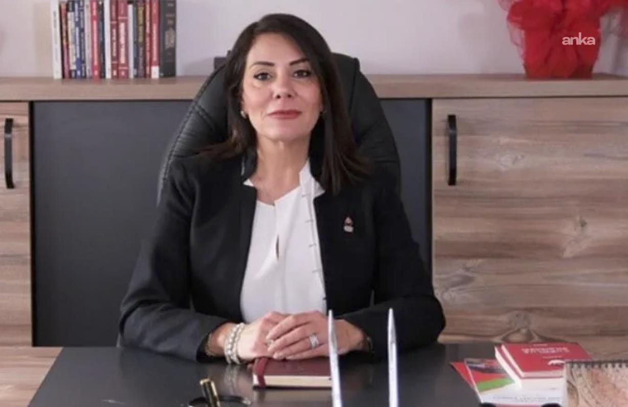 Zafer Partili Aslan: “Mehmet Cengiz’e ait Eti Bakır şirketi, Eskişehir’de ‘altın arama’ bahanesiyle tam 57 bin 534 ağacı kesmeyi planlıyor”
