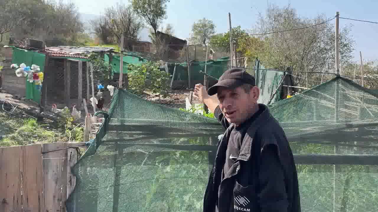 CİMER'e şikayette bulunan kişi "hastalık riski" gerekçesiyle mahallesi için büyükbaş ve küçükbaş hayvan yetiştirme yasağı istedi