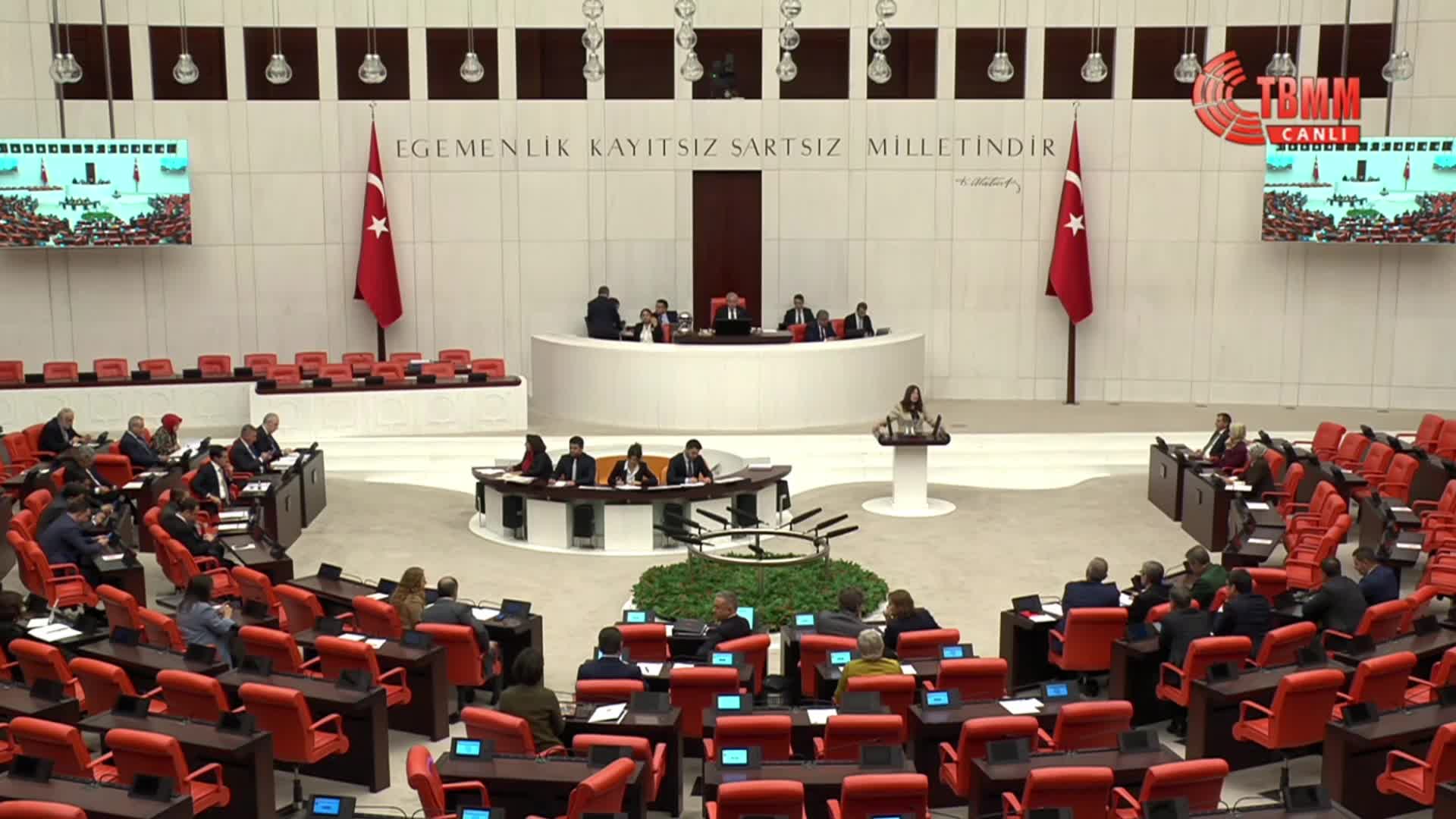 TBMM Genel Kurulu... Aylin Yaman: Türkiye için gerekli olan yenidoğan uzmanı sayısı yaklaşık 700 iken şu anda aktif 384 yenidoğan uzmanı var