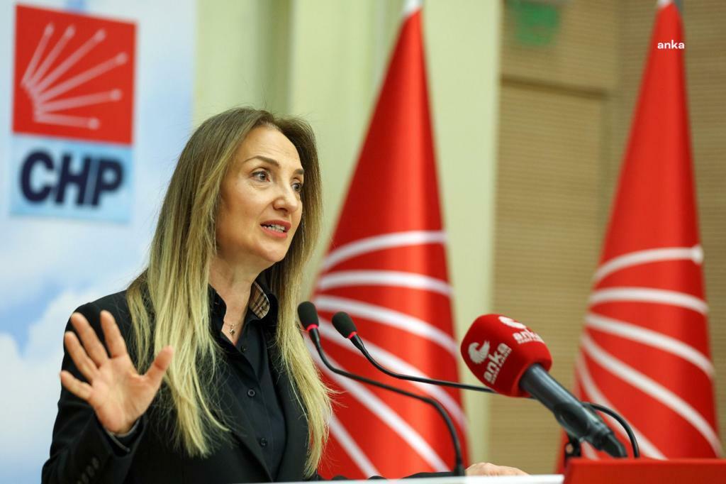 CHP kurultaylarının iptali istemi reddedildi... Aylin Nazlıaka: Halkın partisi, halkın iradesiyle iktidar yürüyüşüne çok daha güçlü devam ediyor