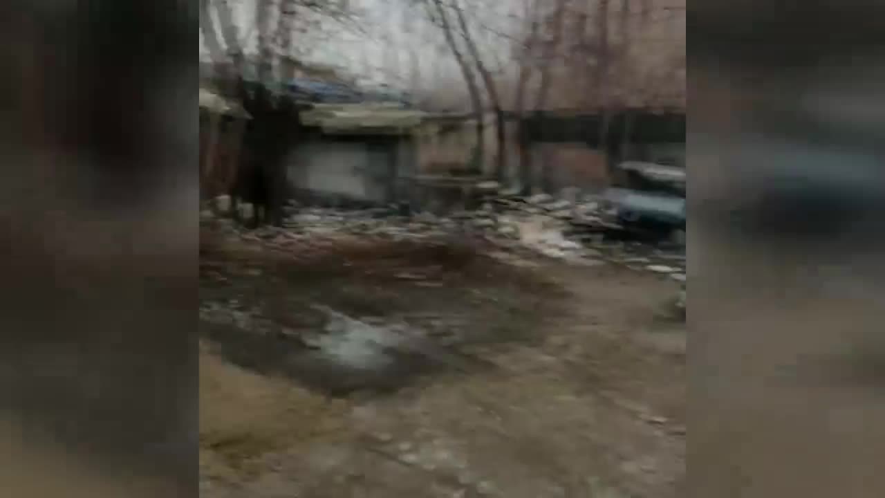 İZMİR'E AT, EŞEK Mİ YEDİRDİLER! METRUK BİNADA ŞOK MANZARA... 5 AT KURTARILDI!