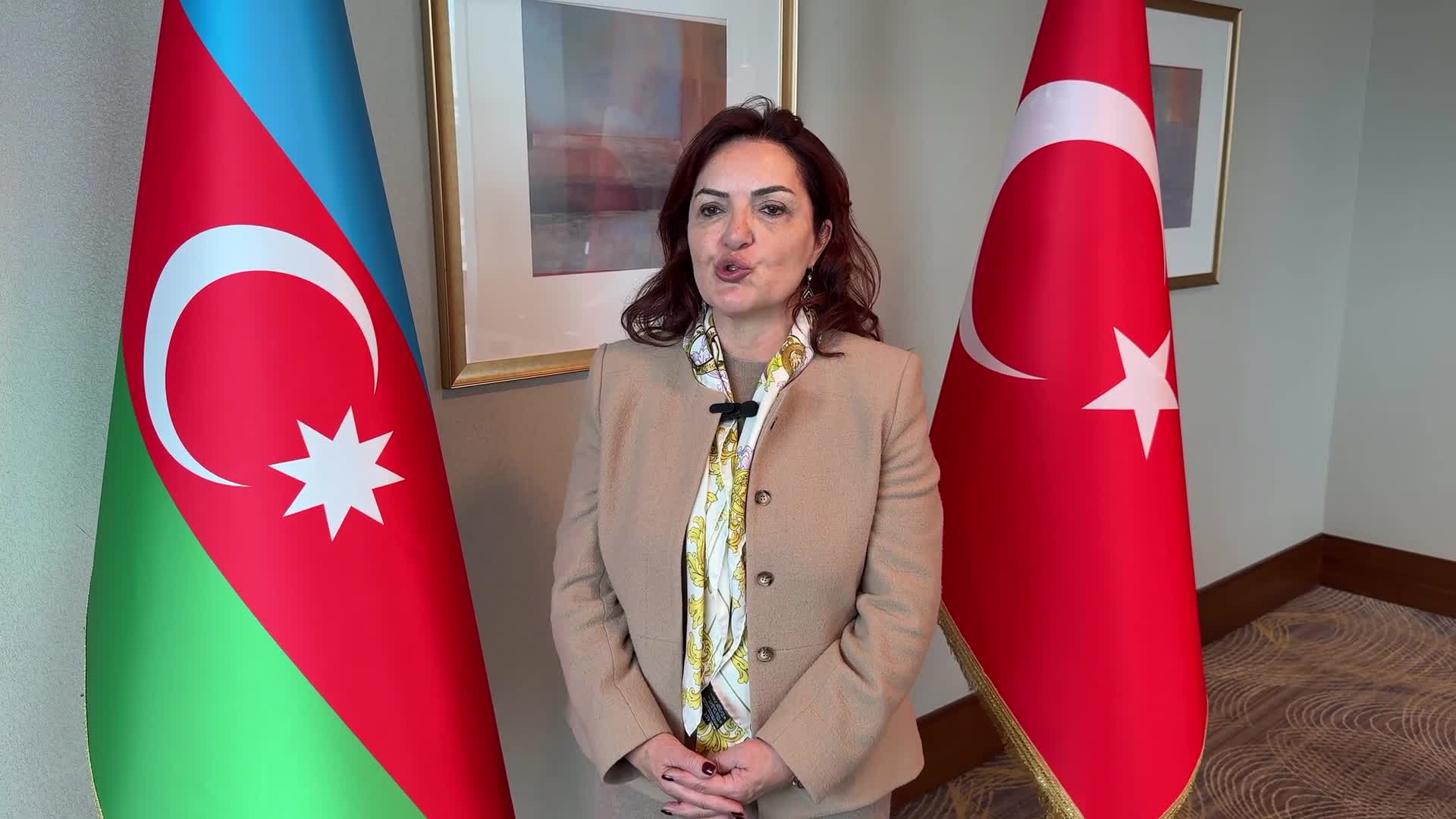 TADİV ve DEİK’ten Azerbaycan'a yatırım çıkarması