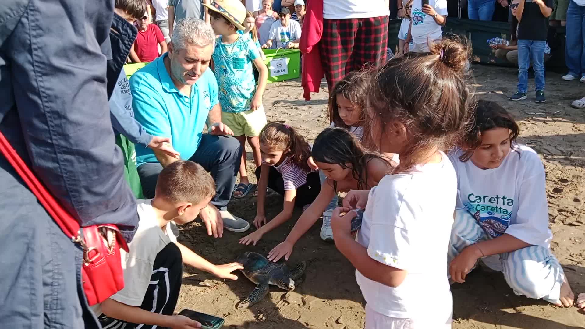 İztuzu’nda tedavisi tamamlanan 10 caretta caretta ile 5 yavru kaplumbağa denize bırakıldı