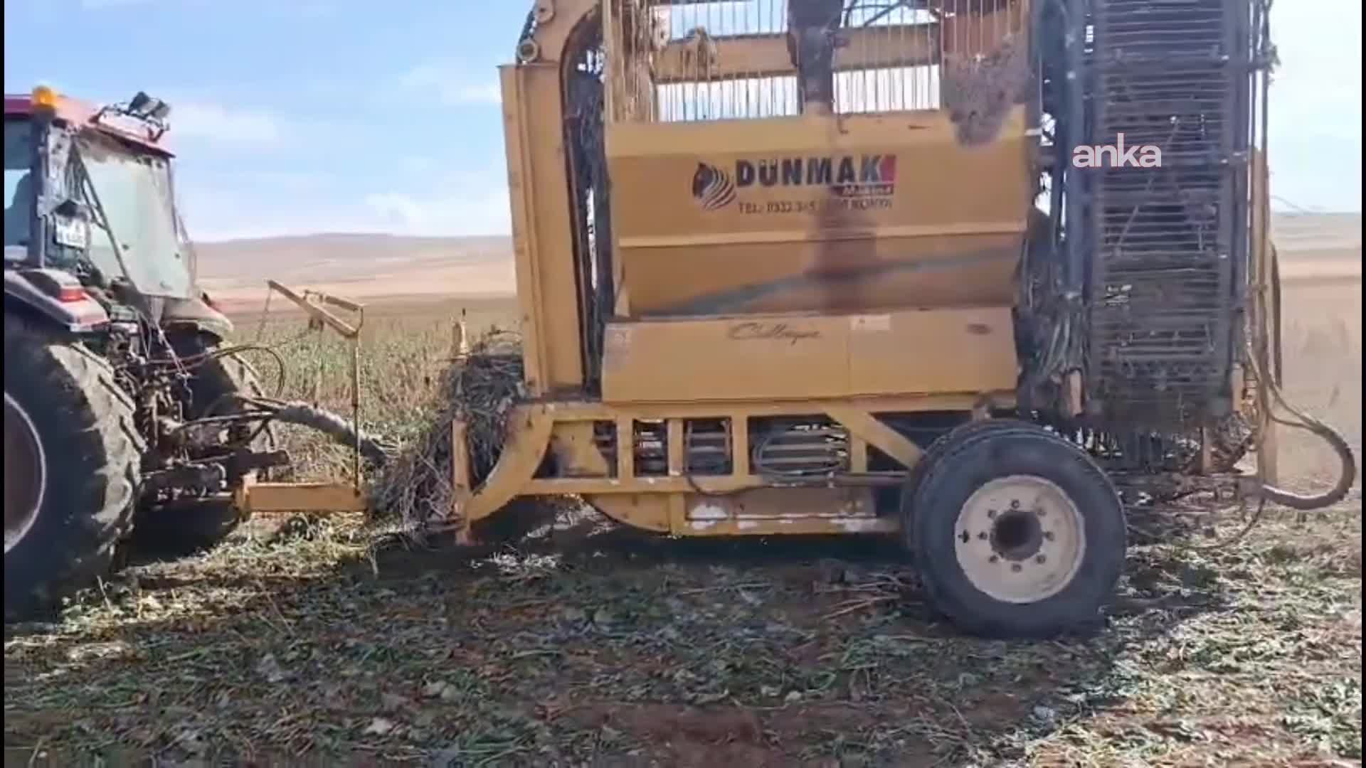 Darendeli pancar üreticisi maliyetlerden yakındı: "Yakıt pahalı, diğer girdilerimiz pahalı ama mücadelemizi veriyoruz"