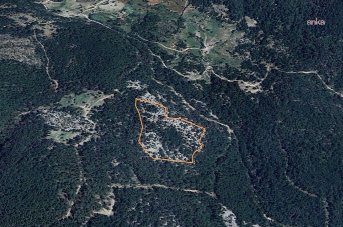 Muğla'daki ormanlık alana maden ocağı projesine "ÇED olumlu" kararı