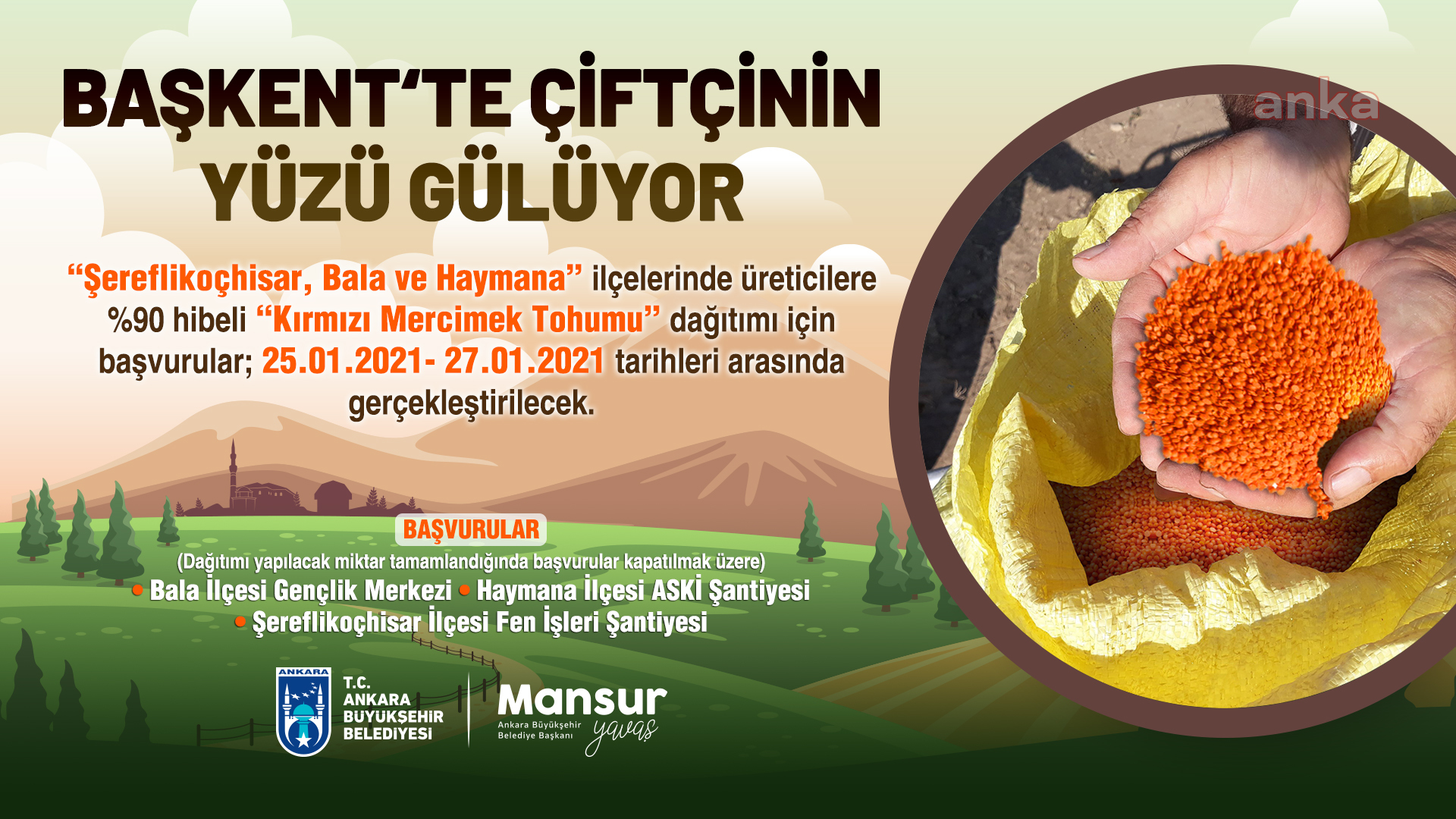 MANSUR YAVAŞ’TAN ÇİFTÇİYE YENİ DESTEK PROJESİ: ÜÇ İLÇEDE 400 TON “KIRMIZI MERCİMEK” TOHUMU HİBESİ