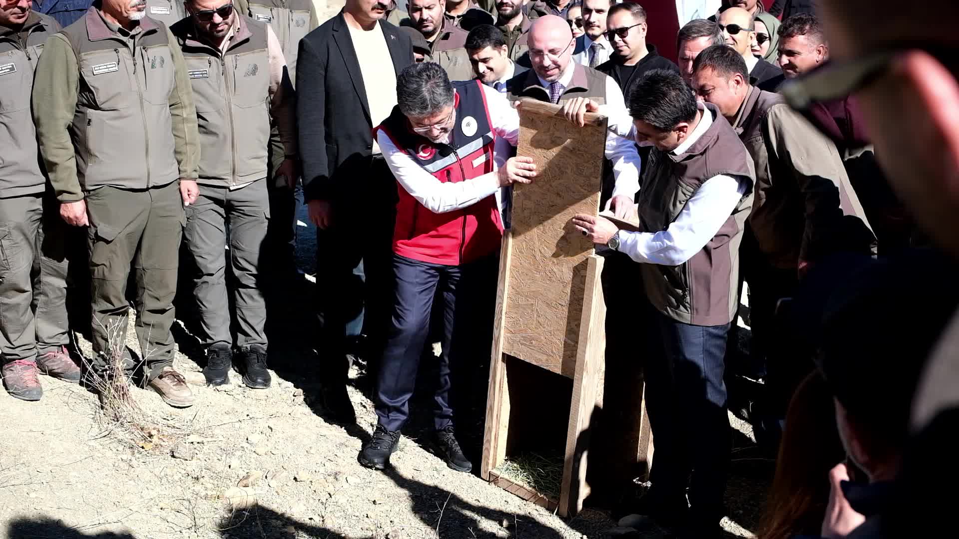 Tunceli’de Bakan Yumaklı’nın doğaya saldığı yavru yaban keçisi protokolün ortasında kaldı