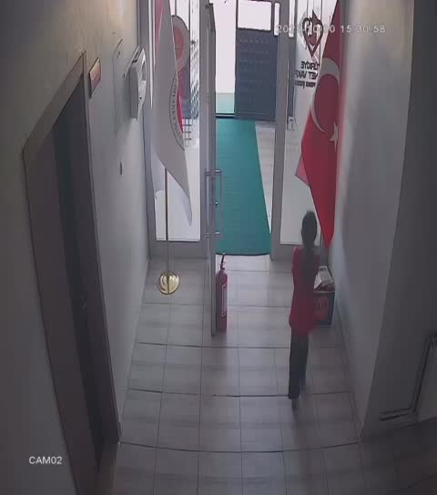 Şanlıurfa Ceylanpınar'da, çocukların bayrak sevgisi kamera kayıtlarına yansıdı
