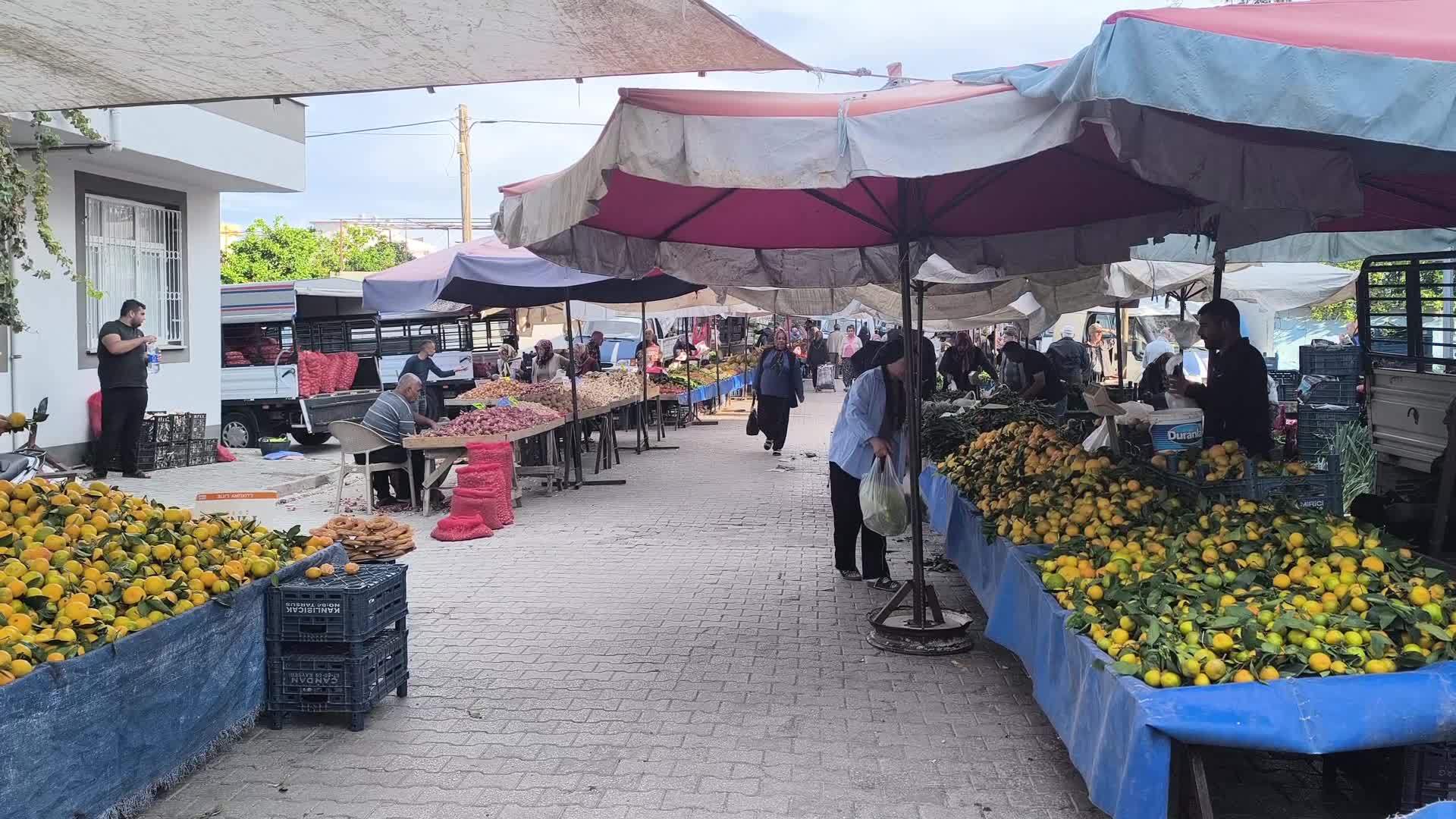 Pazarda çalışan üniversite öğrencisi: "Ekonomi düzelmediği için bu hallere düştük"