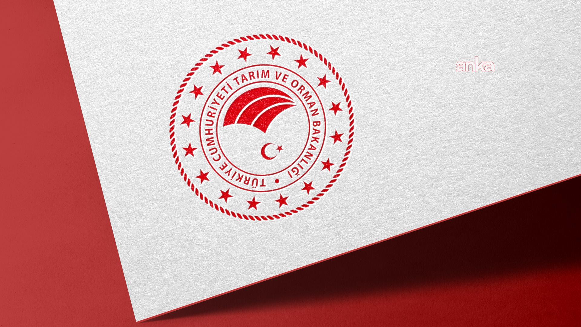 İstanbul, Uluslararası Su Formu'na 5. kez ev sahipliği yapacak