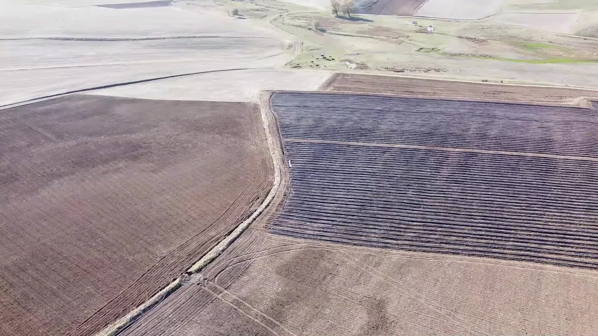 Yozgat’ta 400 dönümlük çilek bahçesi projesi