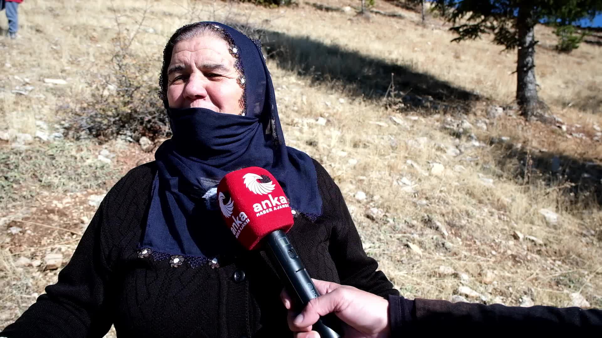 Hozat’ta 4. palamut tohumu ekimi... 65 yaşındaki Aslı Özel: “Keşke genç olsaydım da daha da fazlasını yapsaydım”