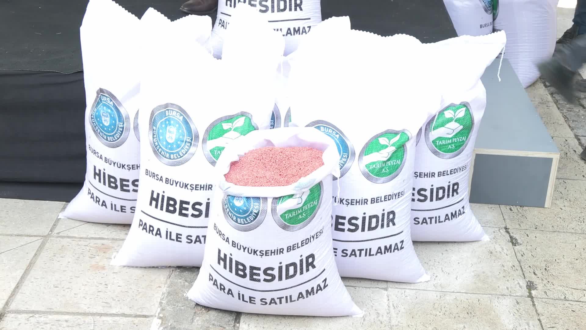 Bursa Büyükşehir Belediyesi'nden çiftçiye yerli tohum desteği