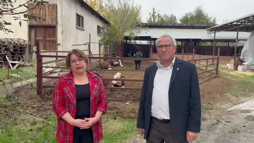 Gülizar Biçer Karaca: "Üreticilerin şap hastalığı kaynaklı uğradığı zarar Bakanlık tarafından telafi edilmeli"