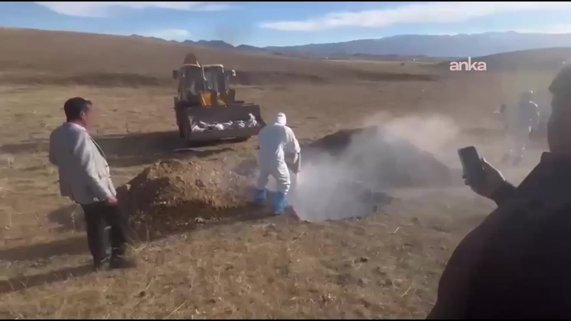 Yüksekova’da kuş gribi şüphesiyle toplanan kanatlı hayvanlar canlı gömüldü