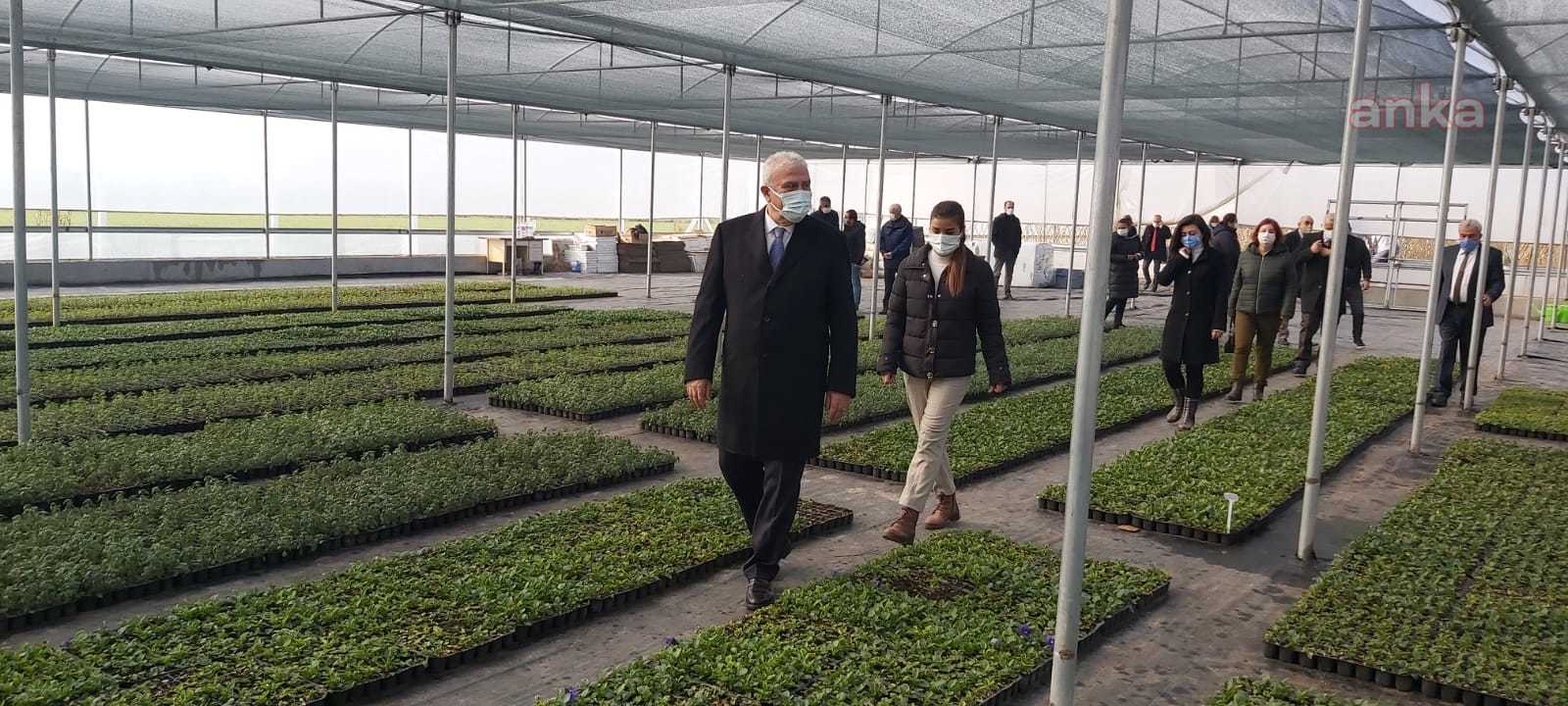 EFELER’İN ÇİÇEKLERİ KENTİ SÜSLEYECEK