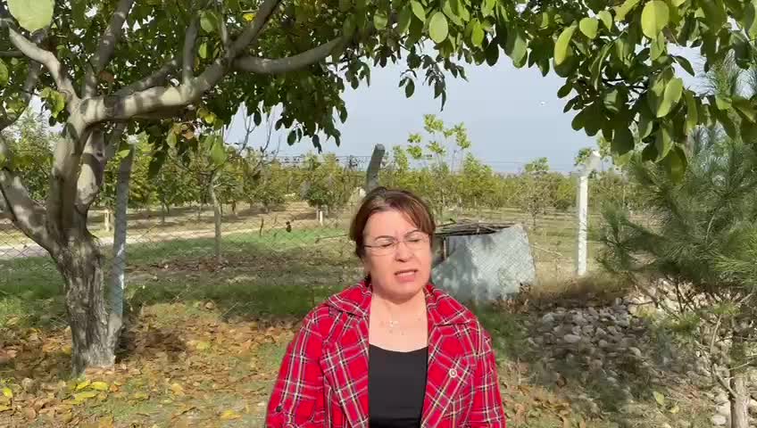 CHP'li Karaca'dan iktidara çağrı: "Kendi üreticimizin hasat dönemlerinde ithalat yasaklanmalı"