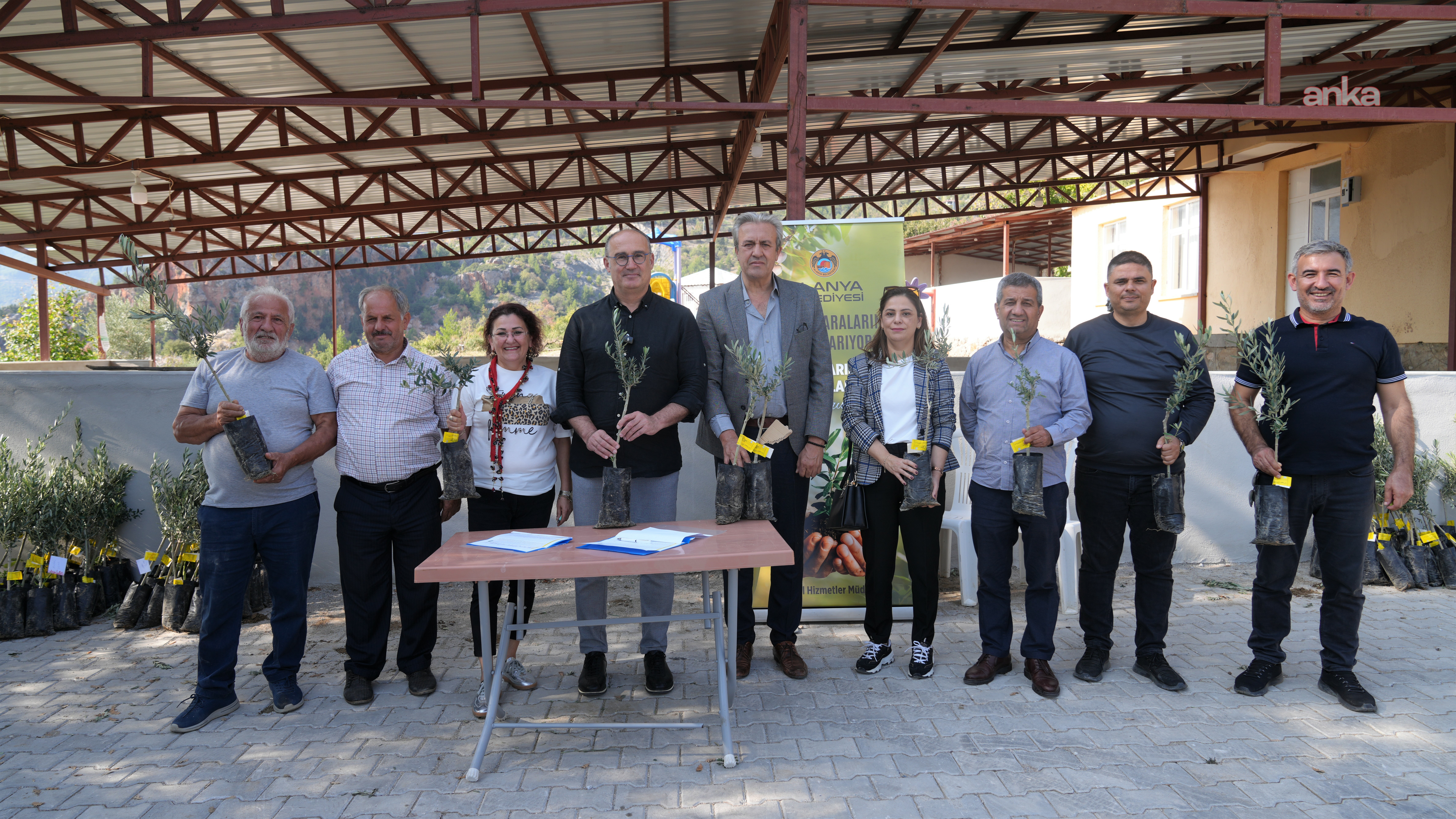 Alanya Belediyesi'nden yangınlardan etkilenen üreticilere zeytin fidanı desteği