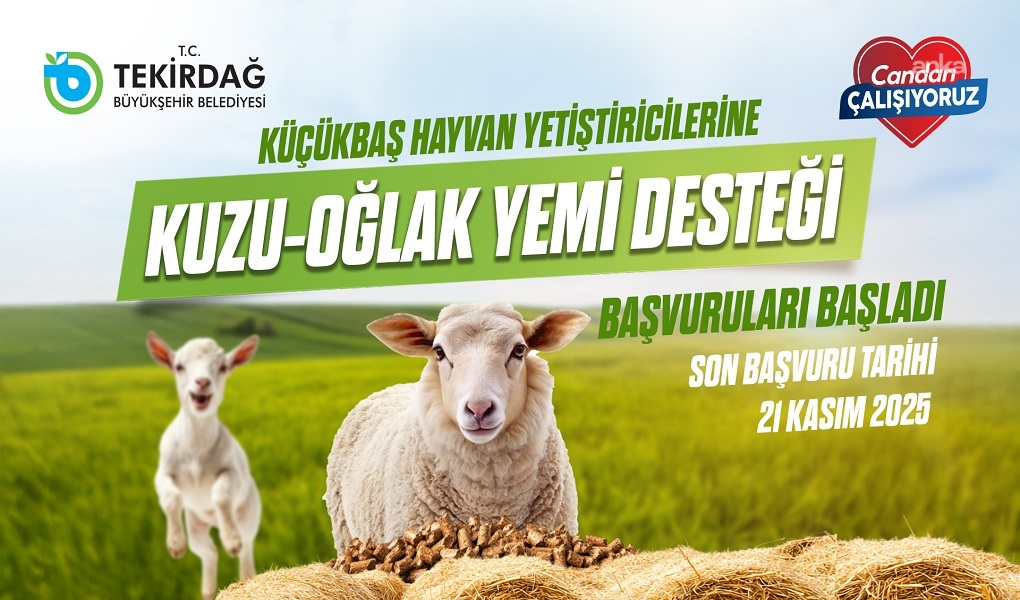 Tekirdağ Büyükşehir Belediyesi'nden küçükbaş hayvan yetiştiricilerine yem desteği