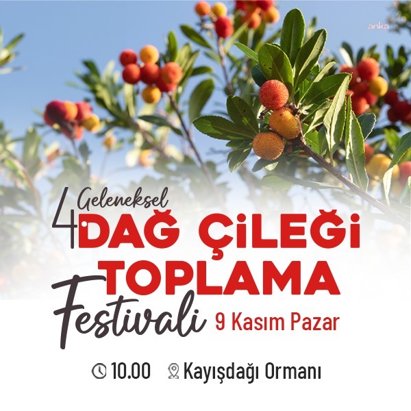 Ataşehirliler, dördünce kez Dağ Çileği Festivali’nde buluşuyor