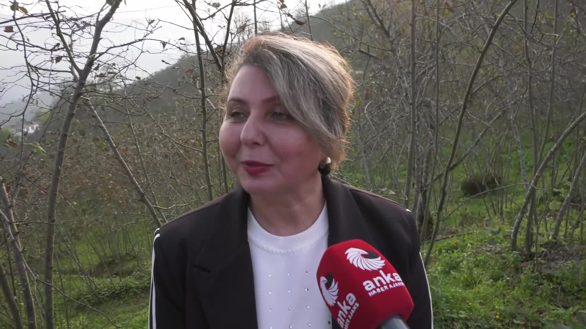 Ordu’da fındık ne durumda... Çamaş Belediye Başkanı Çıtır: Bu yıl fındık üretiminde yüzde sıfırlara indik