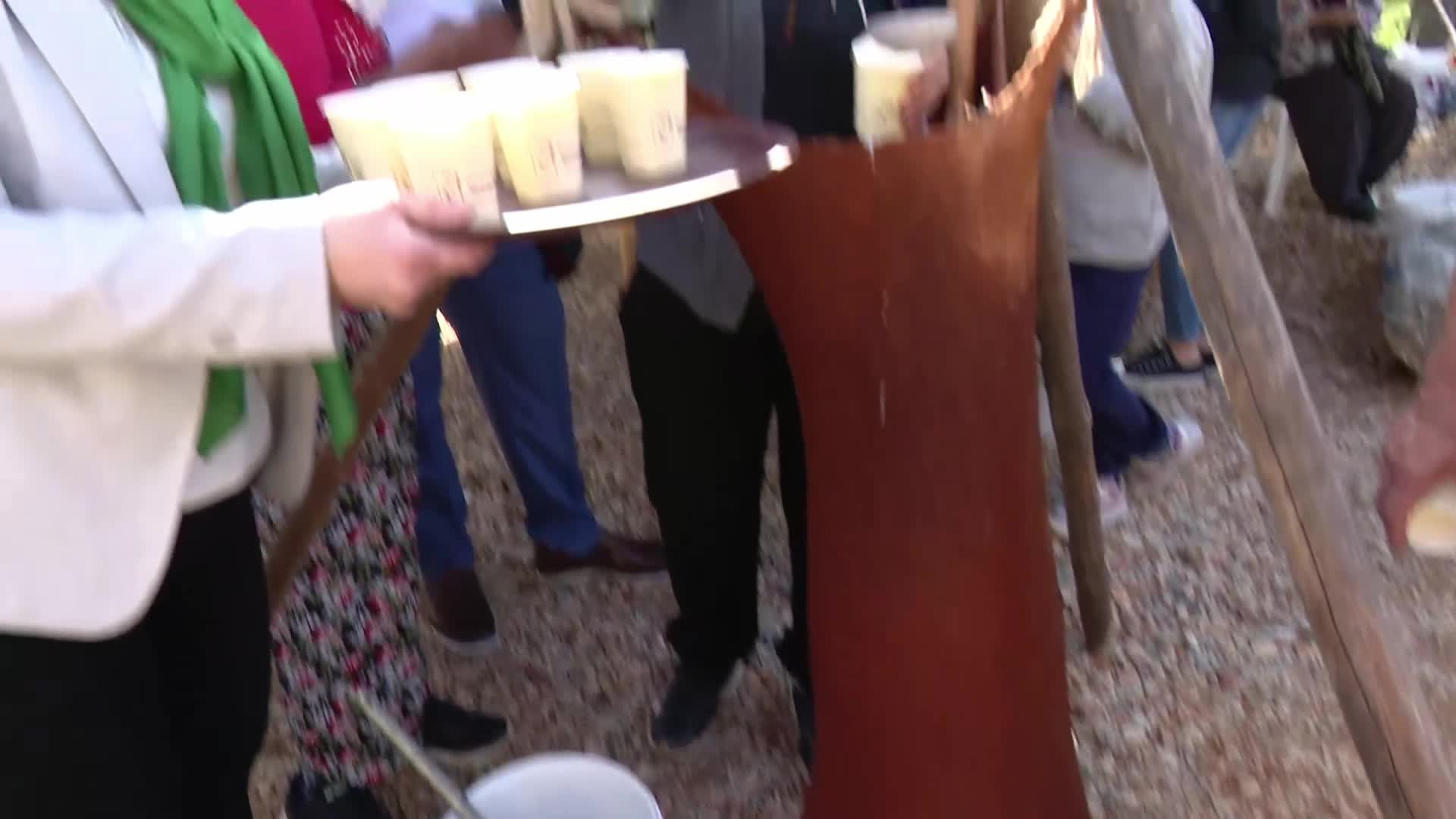 Manavgat’ta “2. Zeytin ve Zeytinyağı Festivali”… Antalyalı üreticiler: “Bizim geçim kaynağımız zeytin. Satışı maliyetimizi karşılamıyor”