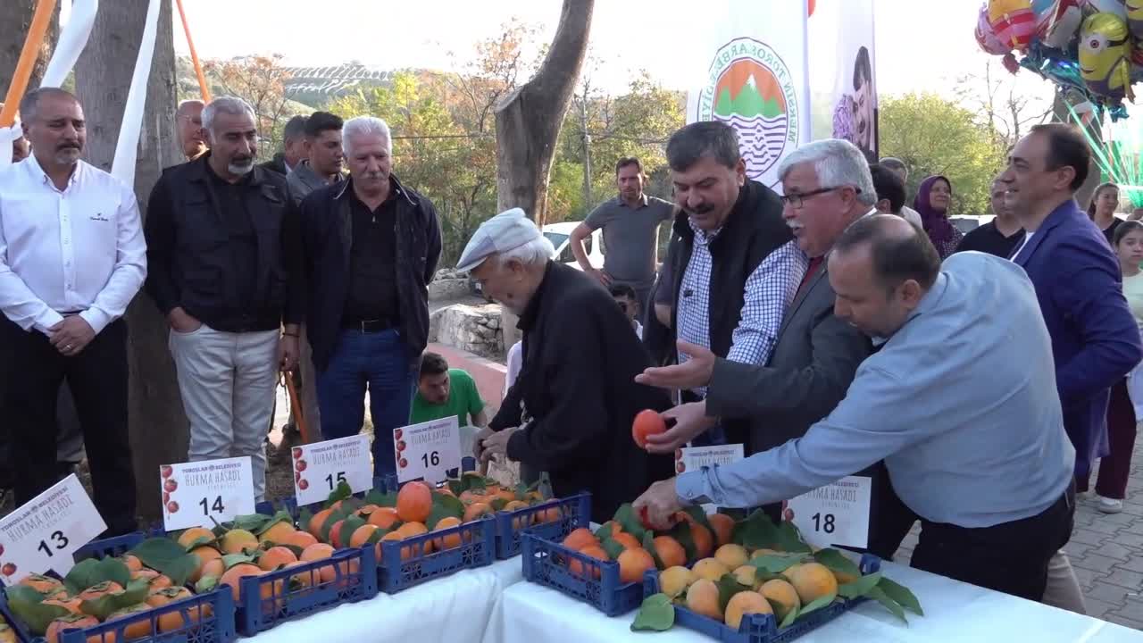 Hurma hasadının başladığı gün yapılan ithalat tepki çekti... Toroslar Belediye Başkanı Yıldız: “Hasadı başlayan ürünlerin ithalatı durdurulmalı”