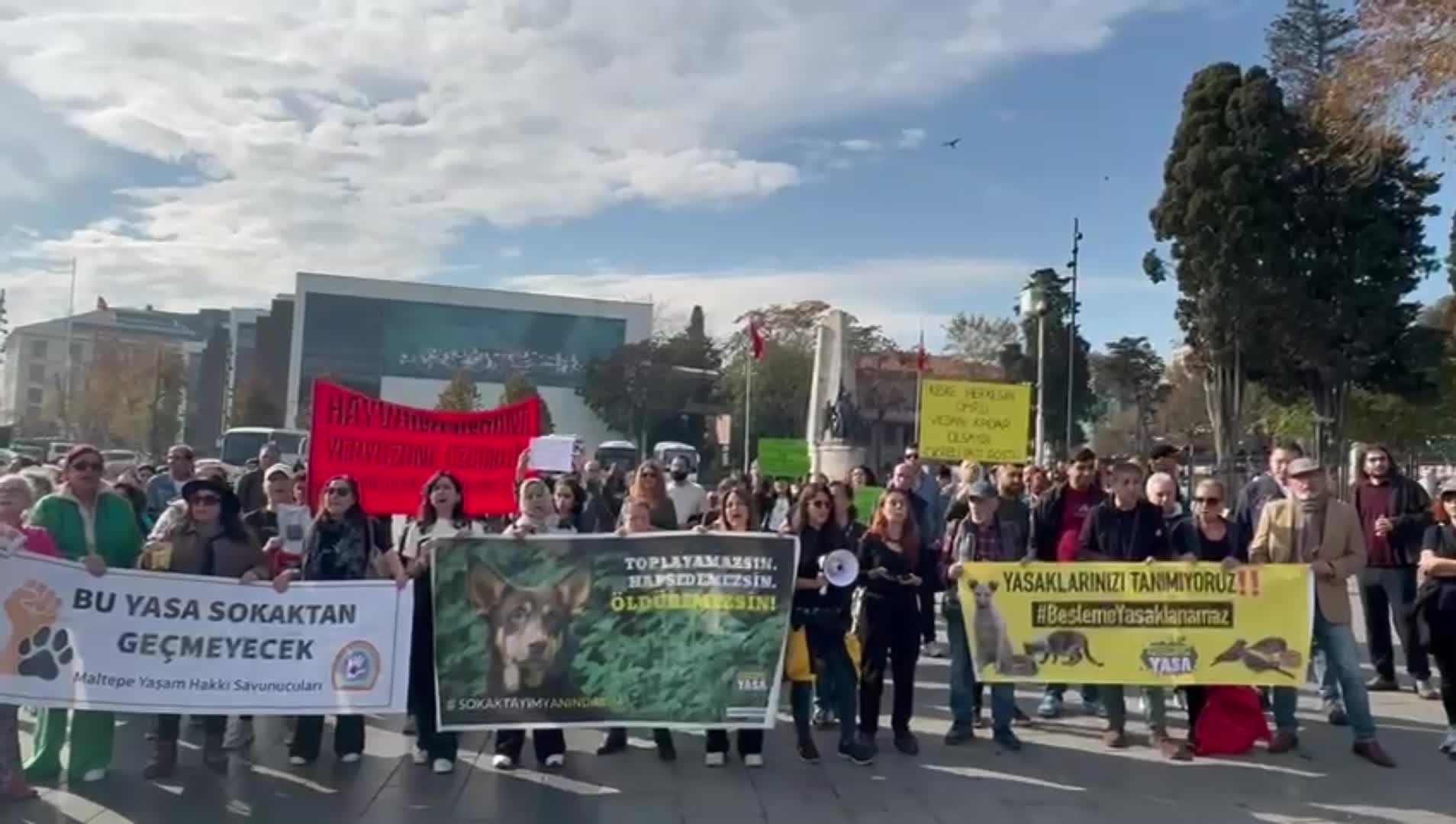 Hayvan hakları savunucuları “besleme yasaklarına” tepki gösterdi: "Yasanızı da yasaklarınızı da tanımıyoruz"