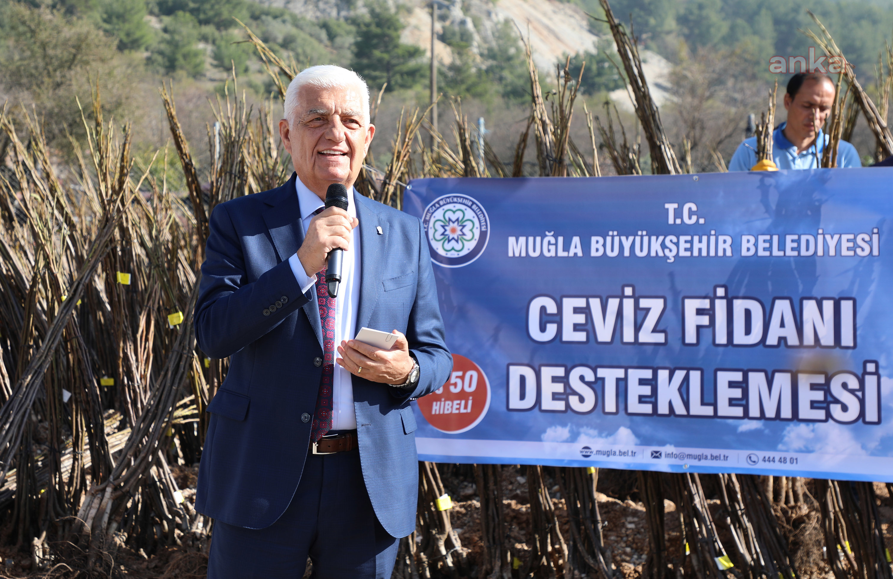 MUĞLA BÜYÜKŞEHİR, 77 BİN CEVİZ FİDANI DAĞITTI