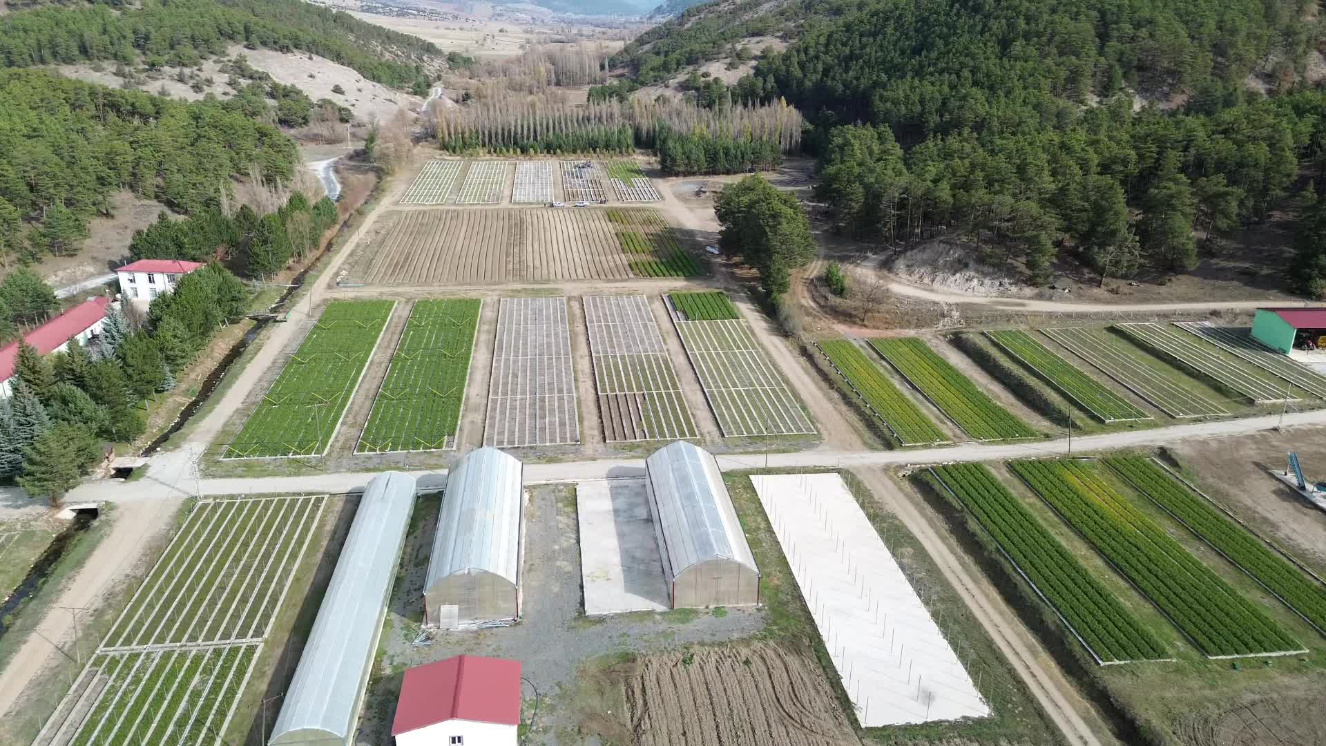 Yozgat’ta bu yıl 3 milyon 300 bin fidan toprakla buluşturuldu