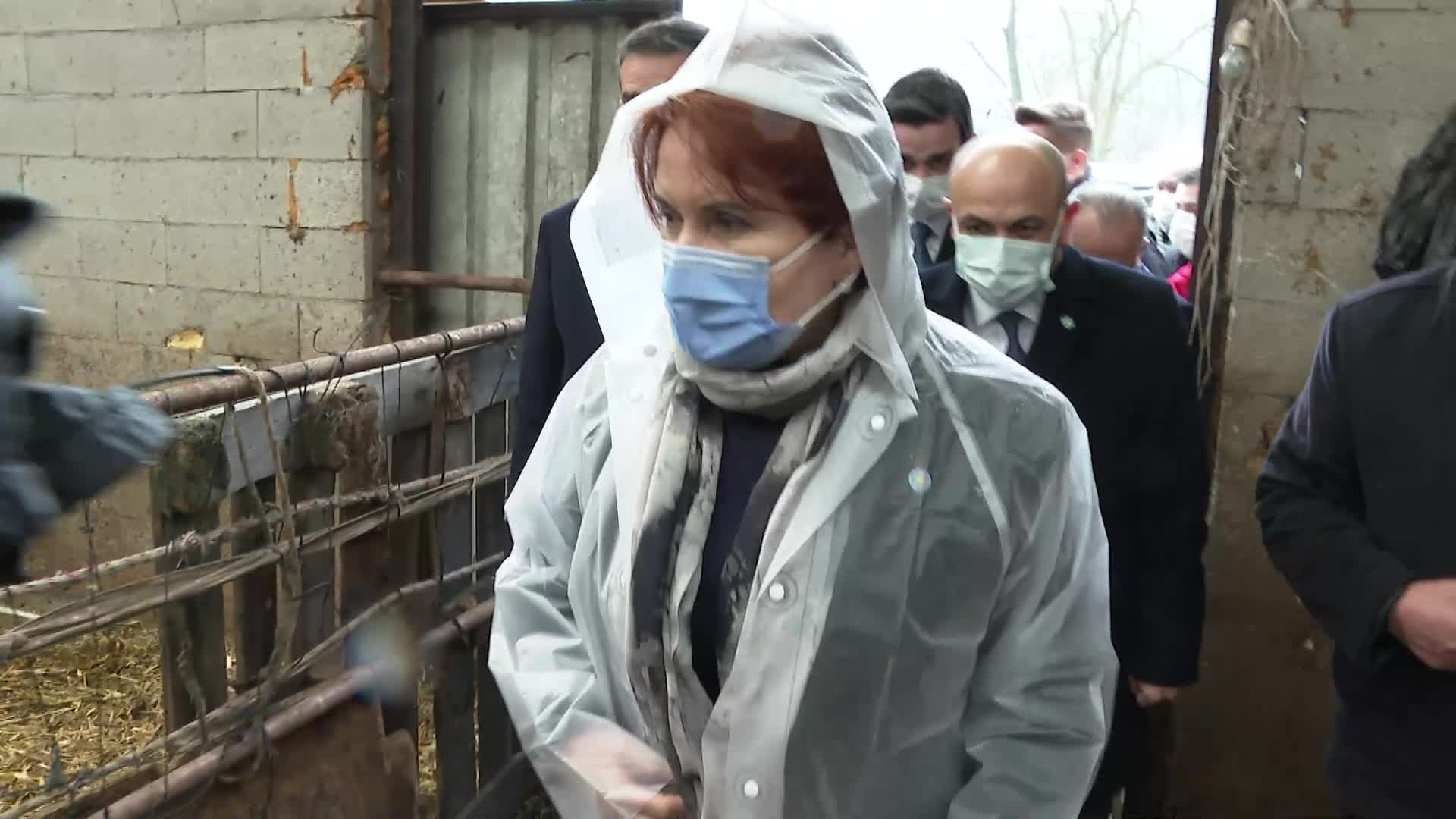 AKŞENER'İ GÖREN BESİCİ VE ÇİFTÇİLER İSYAN ETTİ: "10 TANE HAYVAN ALABİLMEK İÇİN BANKALARA BOYUN BÜKÜYORUZ. TÜRKİYE'DE ÇİFTÇİ BU HALDE"