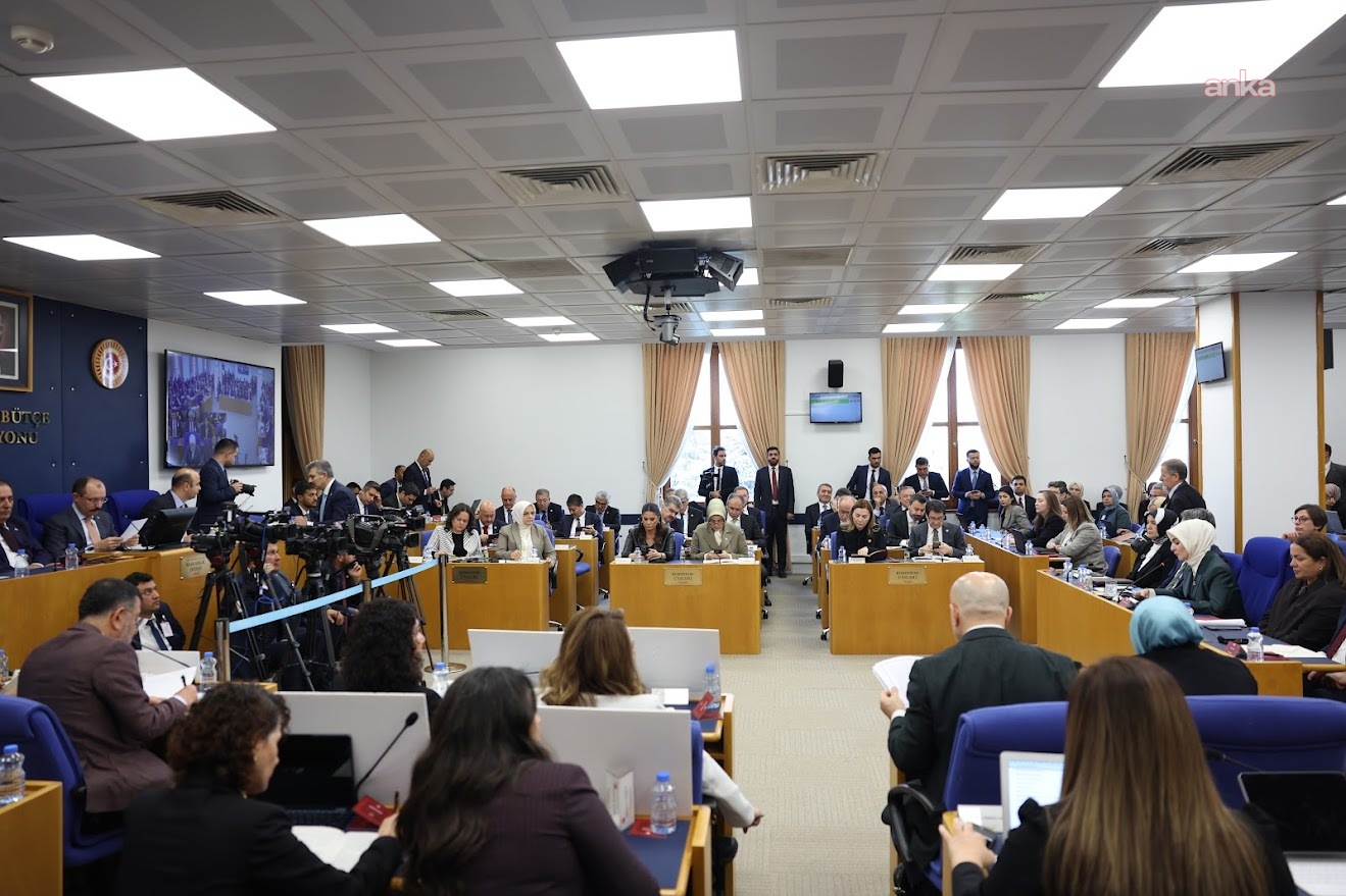 2026 bütçesi Plan ve Bütçe Komisyonu’nda... Sera Kadıgil: “Bu ülkede kadın cinayetinde öldürülen kadınların yüzde 84'ü o çok savunduğunuz aileniz tarafından öldürüldü”