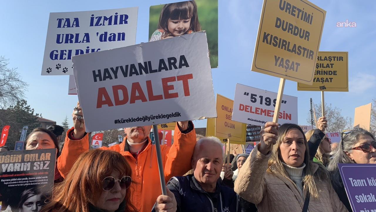 Sahipsiz köpeği sürüklediği iddia edilen barınak çalışanı adli kontrol şartıyla serbest bırakıldı