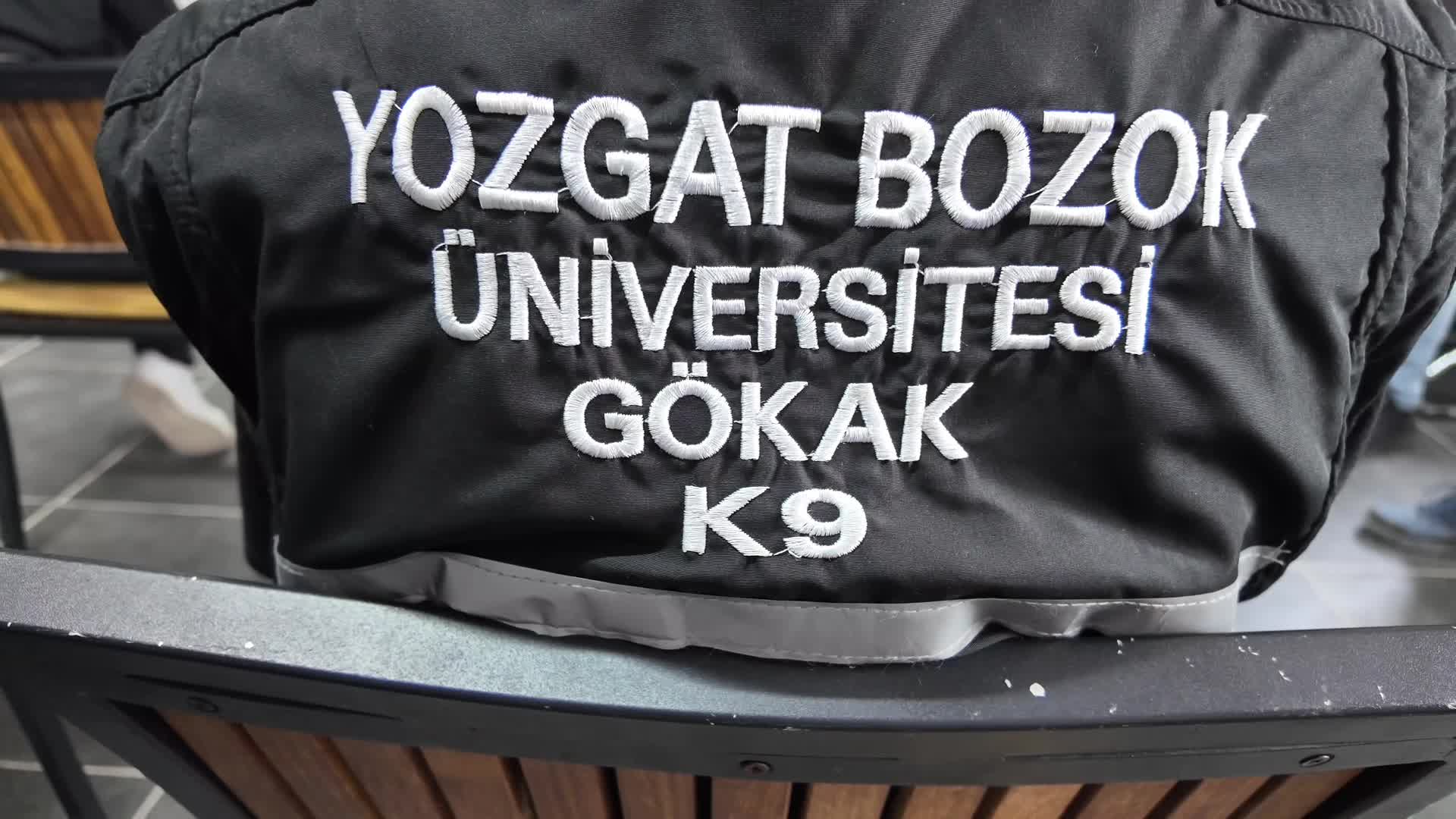 Yozgat’ta üniversite bünyesinde kurulan merkezde köpek eğitimleri başladı