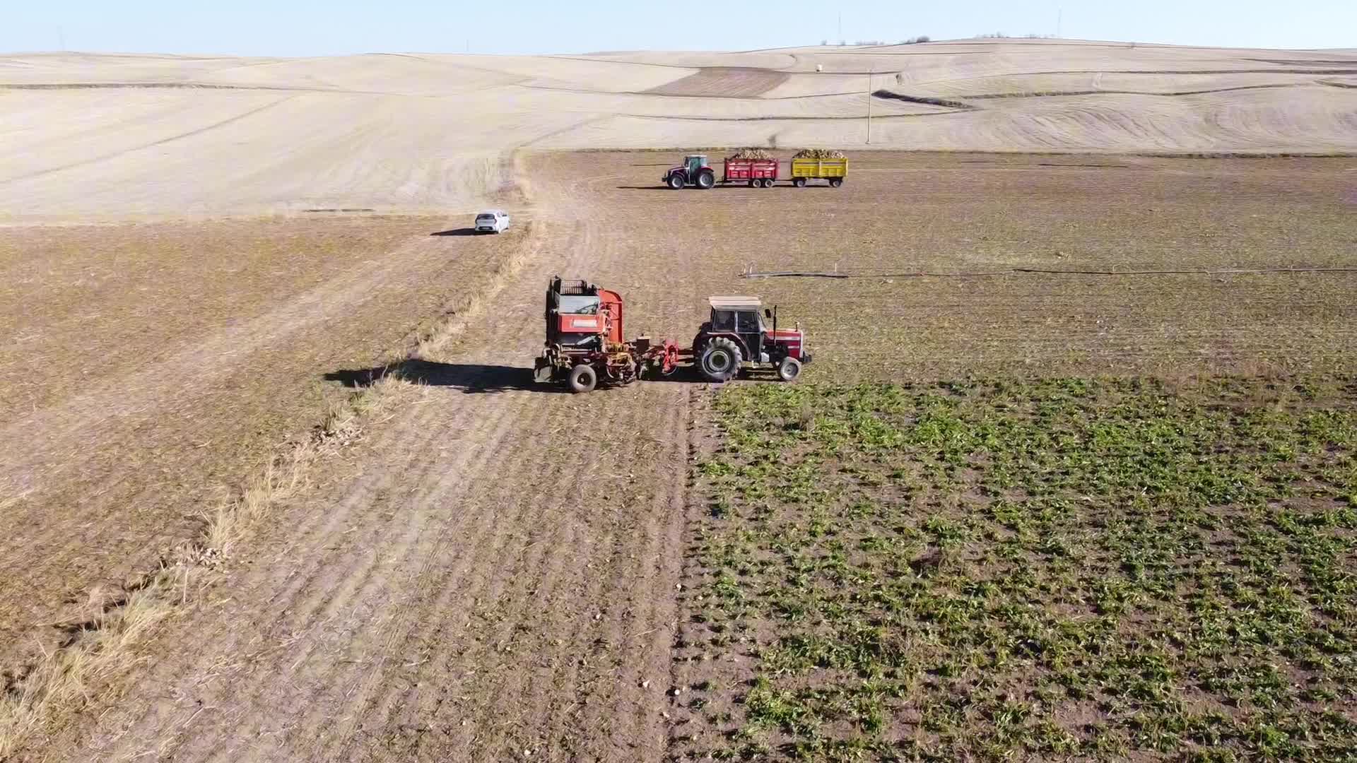 Yozgat’ta kuraklık şekerpancarı verimini olumsuz etkiledi