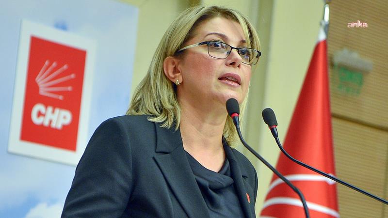 CHP’li Asu Kaya’dan, Bozova’da çocuk işçiye işkence skandalına tepki: “Cezasızlık politikanız her gün yeni bir vahşetin önünü açıyor"