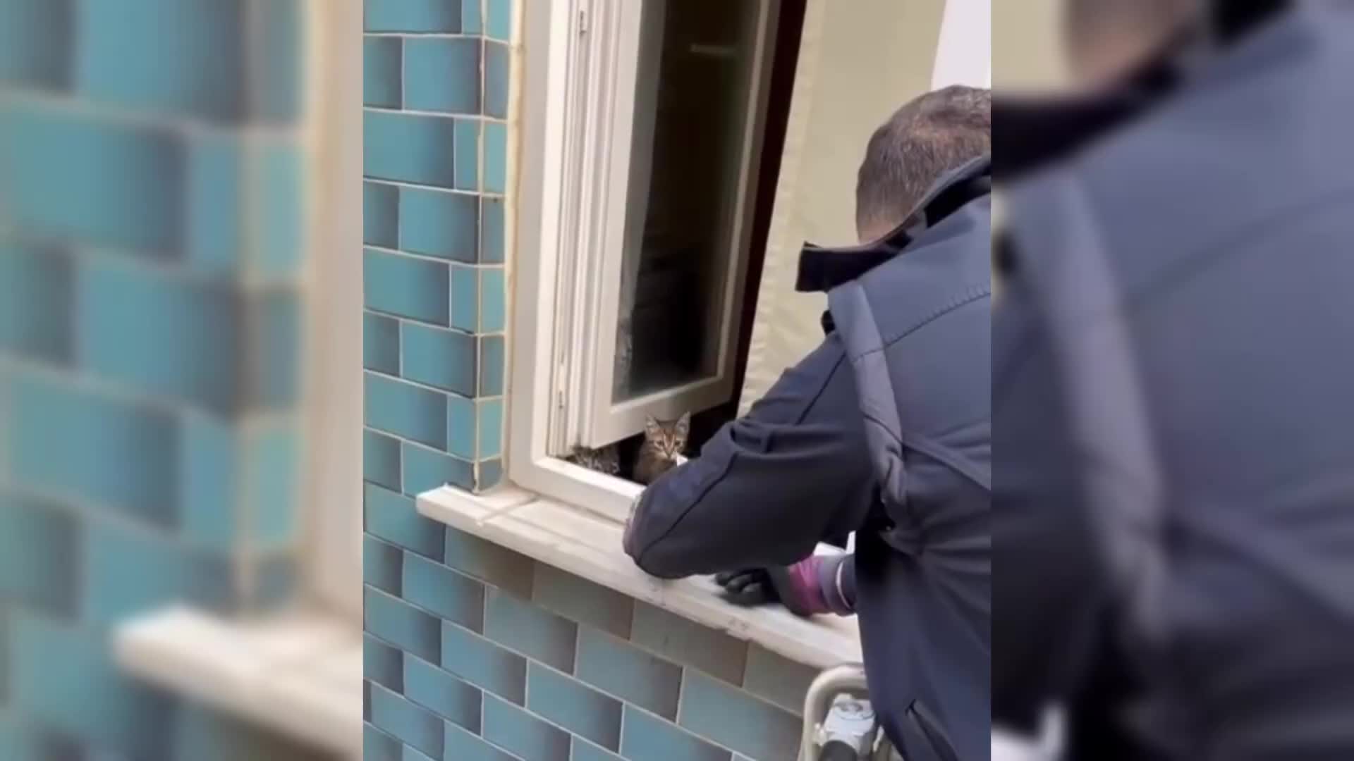 Sinop'ta çocukların dikkati yavru kediyi kurtardı