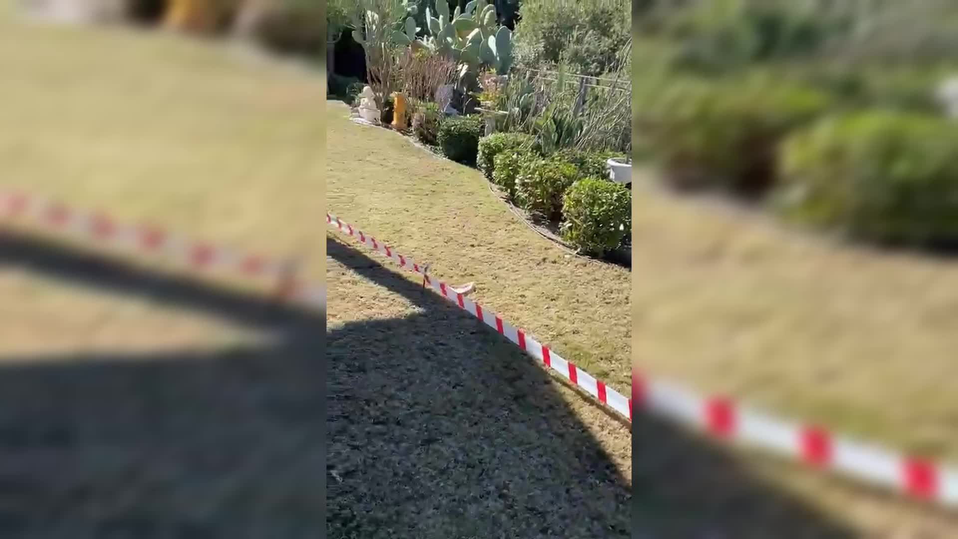 Muğla'da Aydın Ayaydın’ın villasının bulunduğu alan için Danıştay’dan durdurma kararı