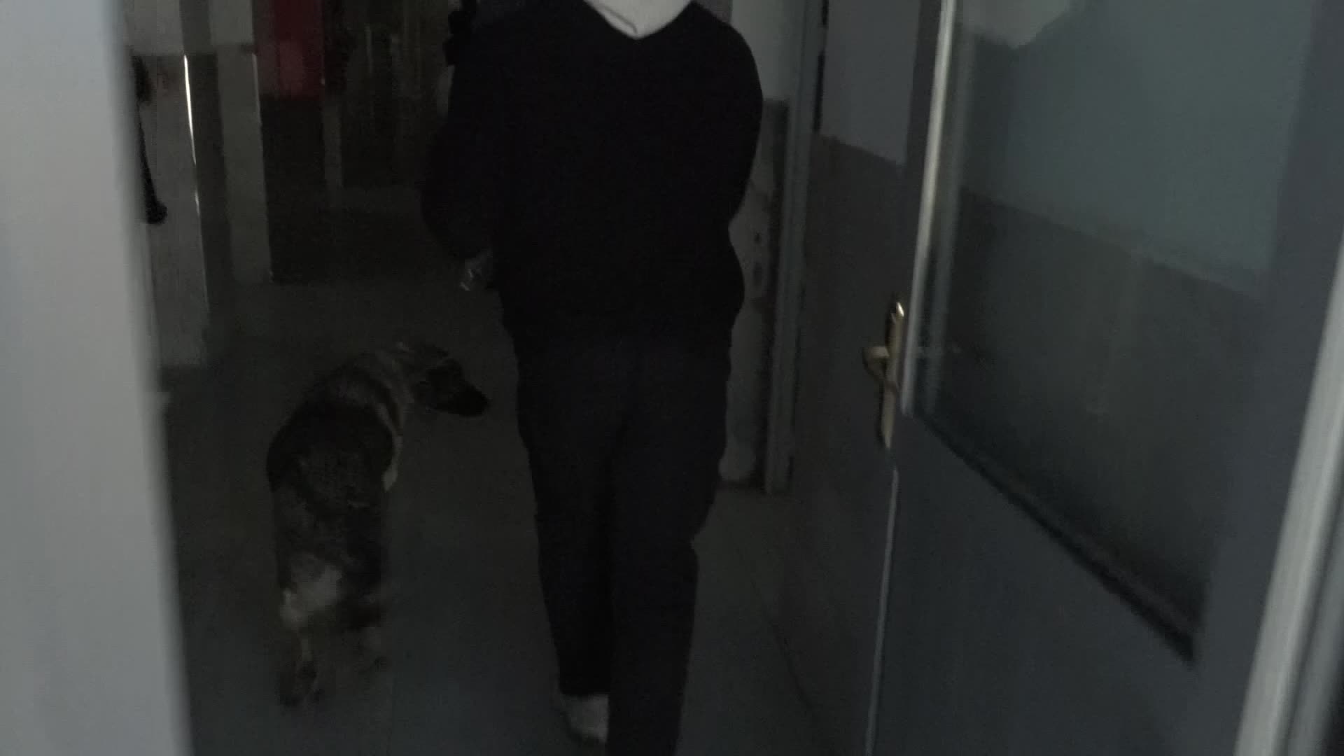 İzmirli hayvansever Şule Çörekçi’nin emanetlerine İzmir Büyükşehir Belediyesi sahip çıktı