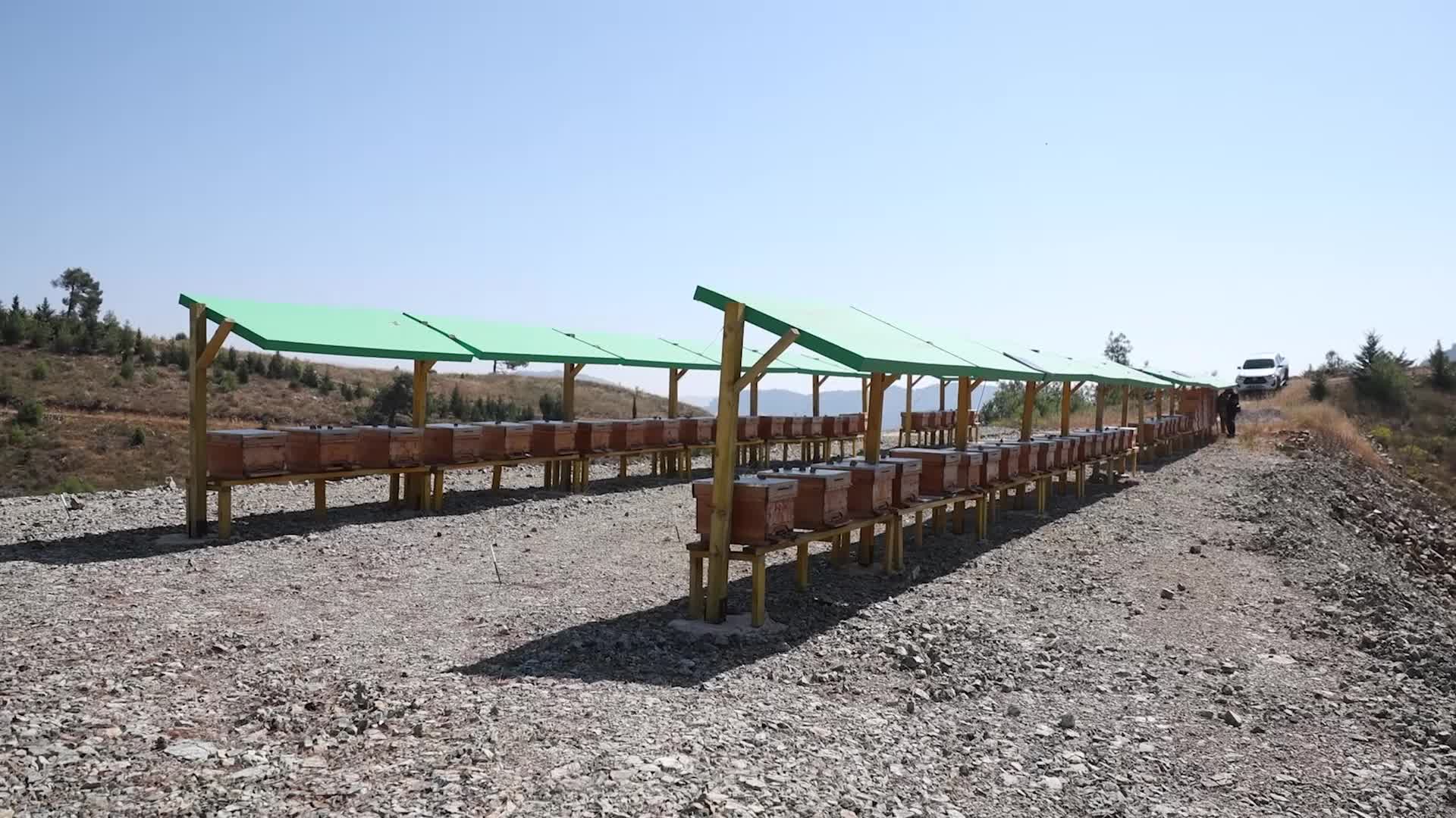 Yenişehir Belediyesi, Türkiye'de arı merası kuran ilk belediye oldu