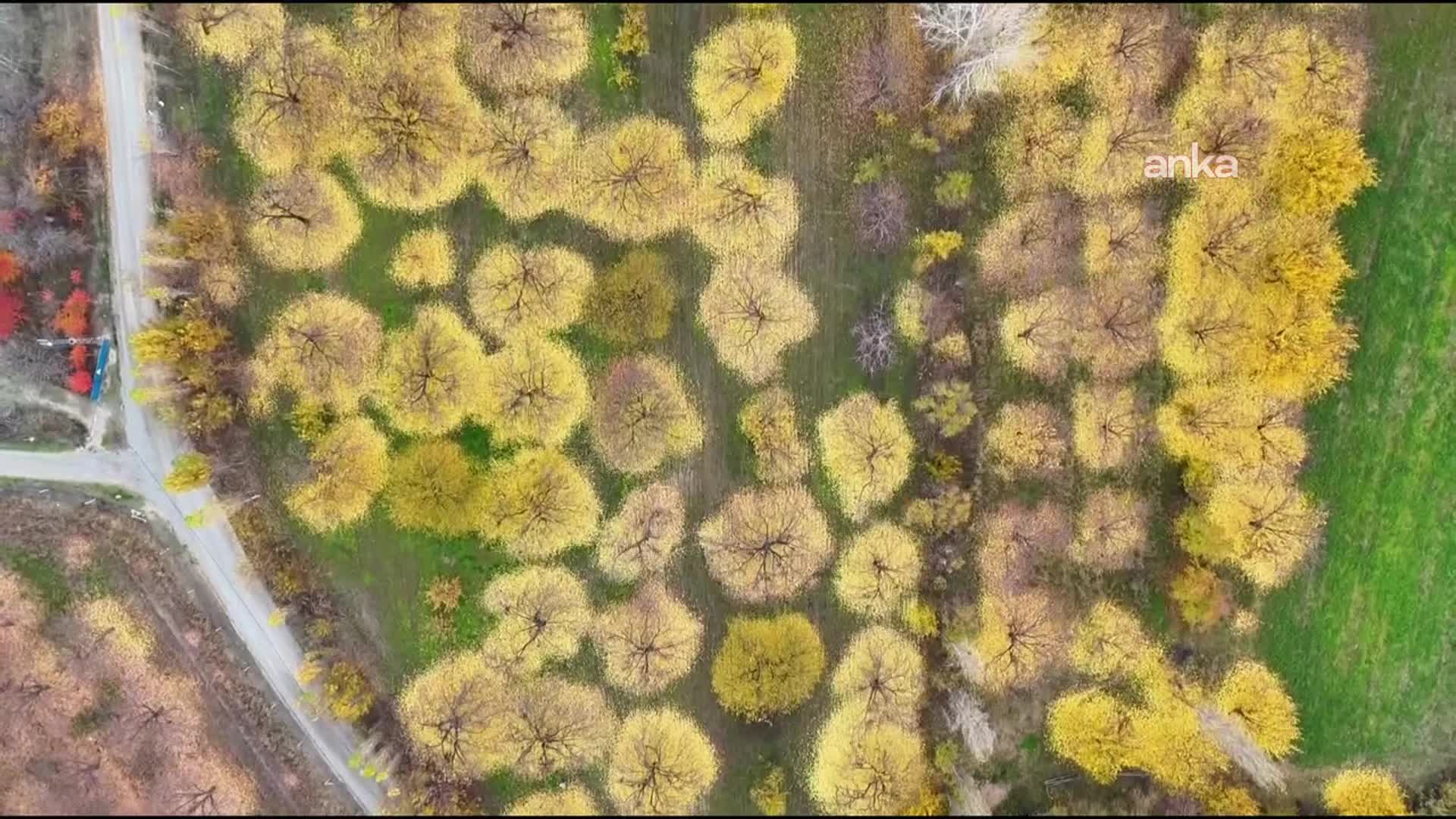 Iğdır’da sonbahar renkleri drone ile görüntülendi