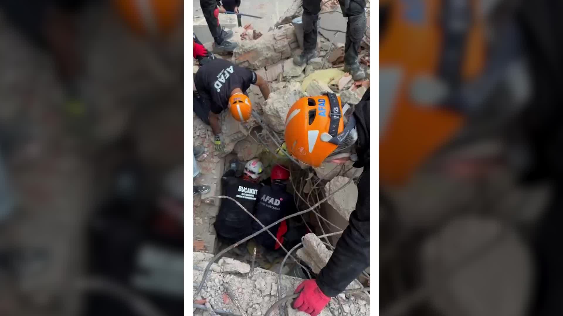 BUCAKUT’tan yavru köpek operasyonu