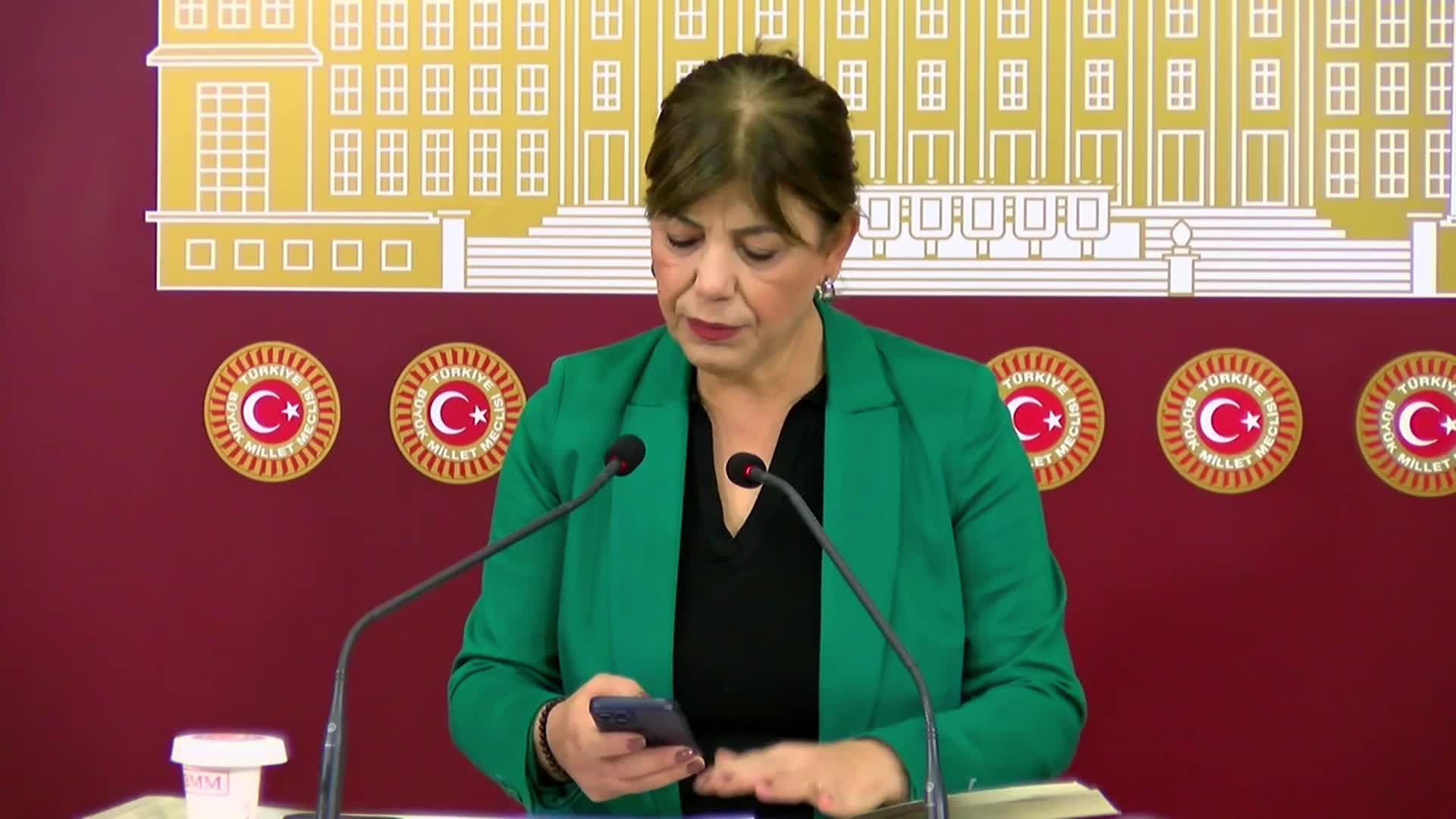 Meral Danış Beştaş: Türkiye'nin umut hakkına ilişkin yasal düzenleme yapması Anayasa ve AİHS'e taraf olmasına göre gerekli